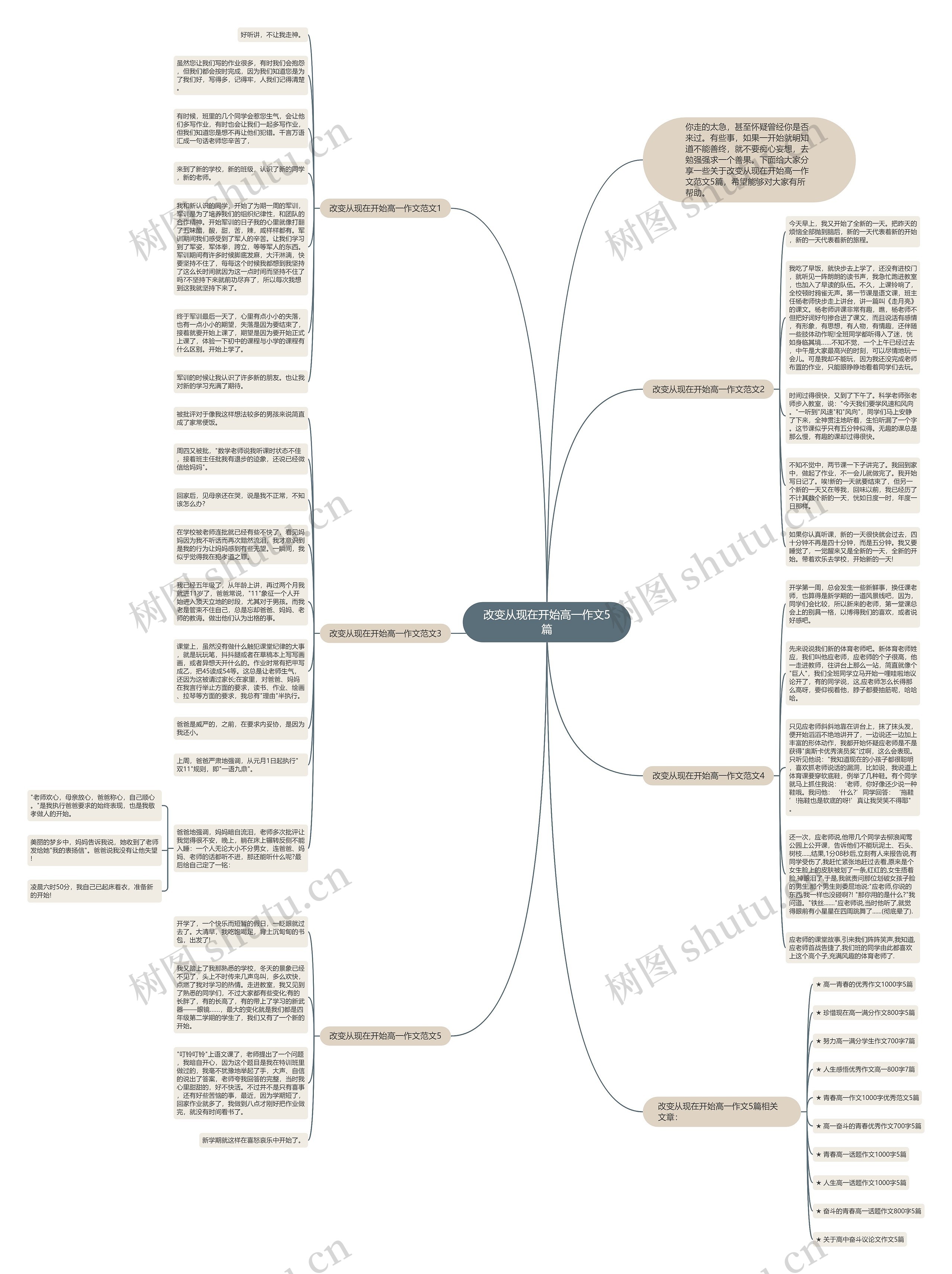 改变从现在开始高一作文5篇思维导图