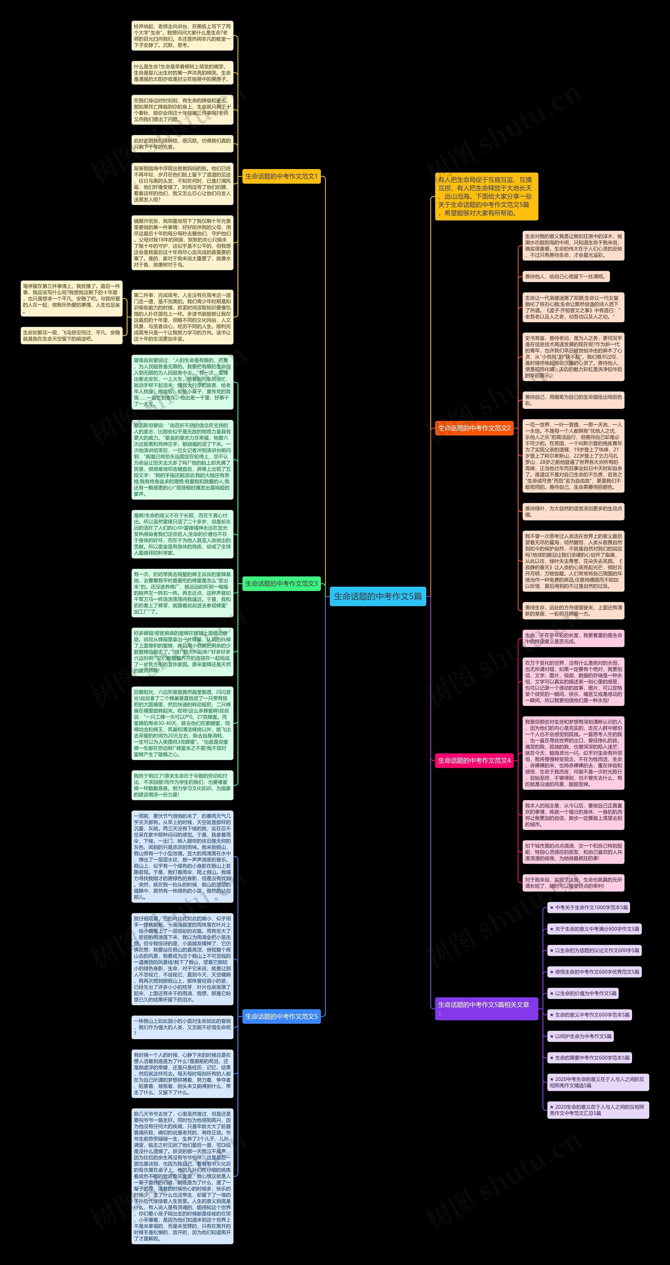 生命话题的中考作文5篇思维导图