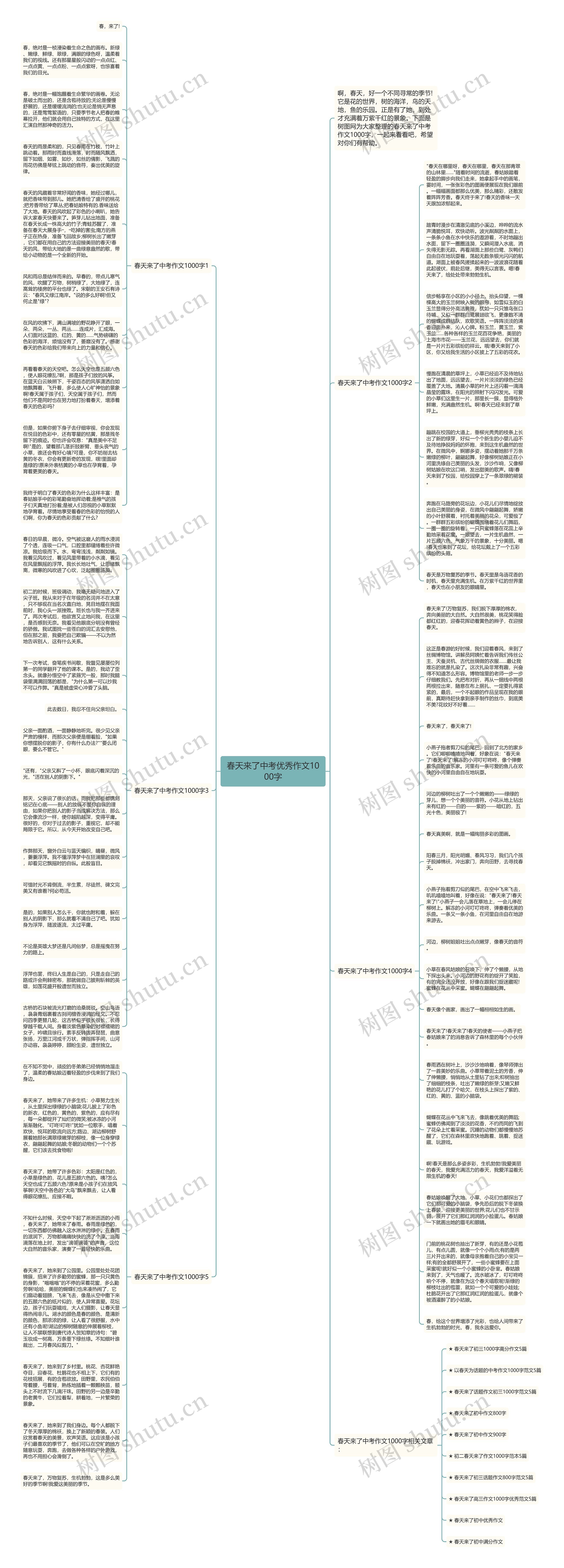 春天来了中考优秀作文1000字思维导图