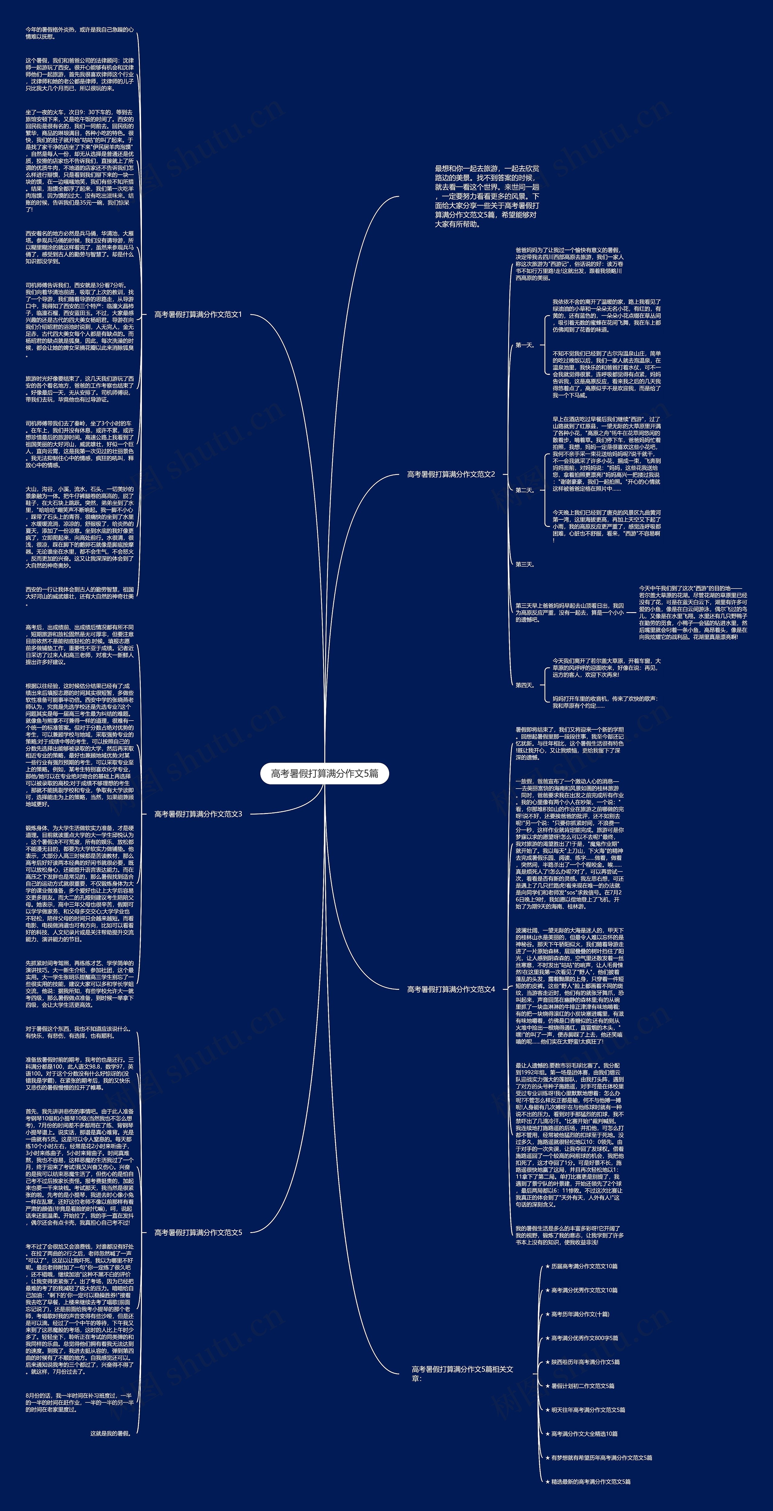 高考暑假打算满分作文5篇