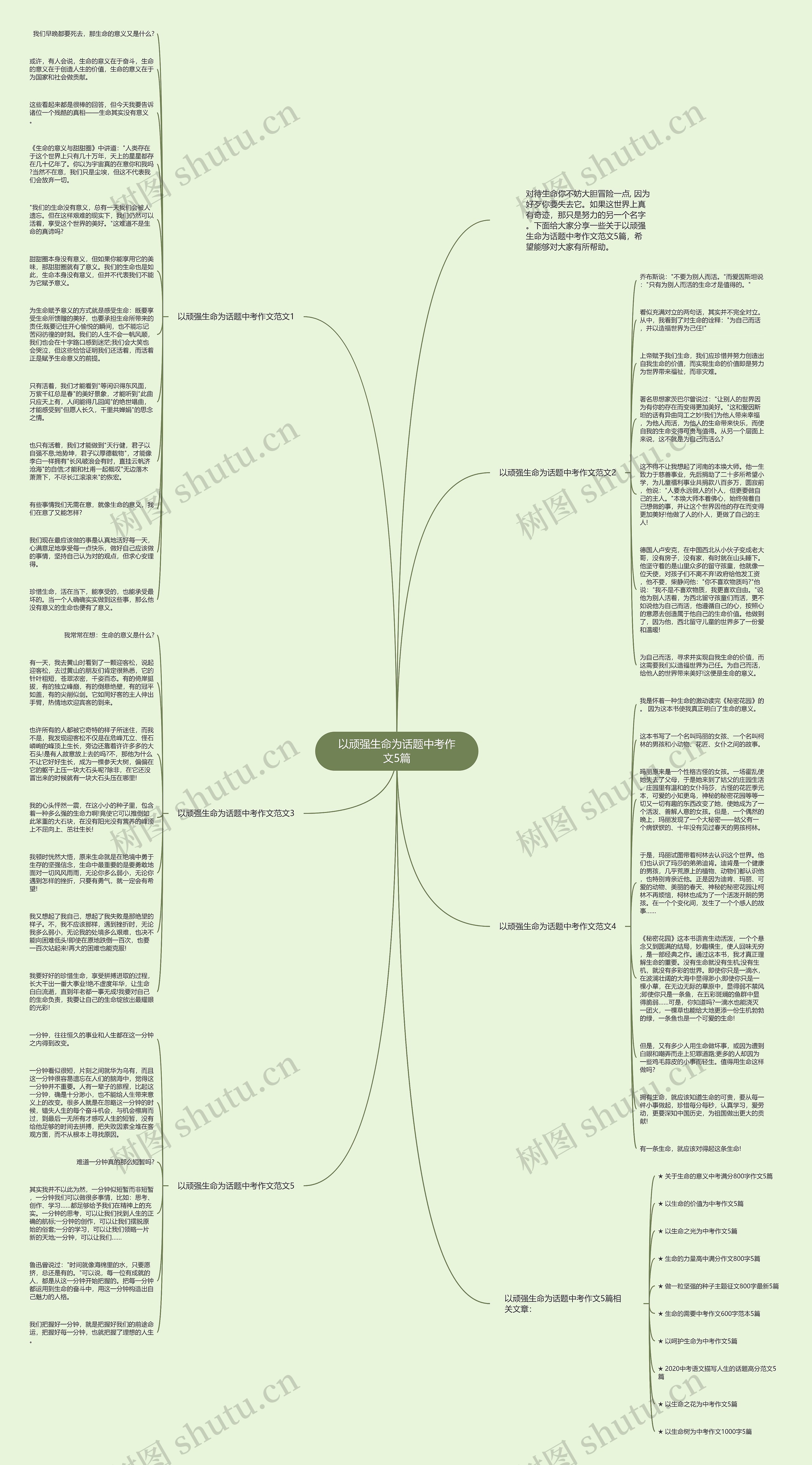 以顽强生命为话题中考作文5篇思维导图