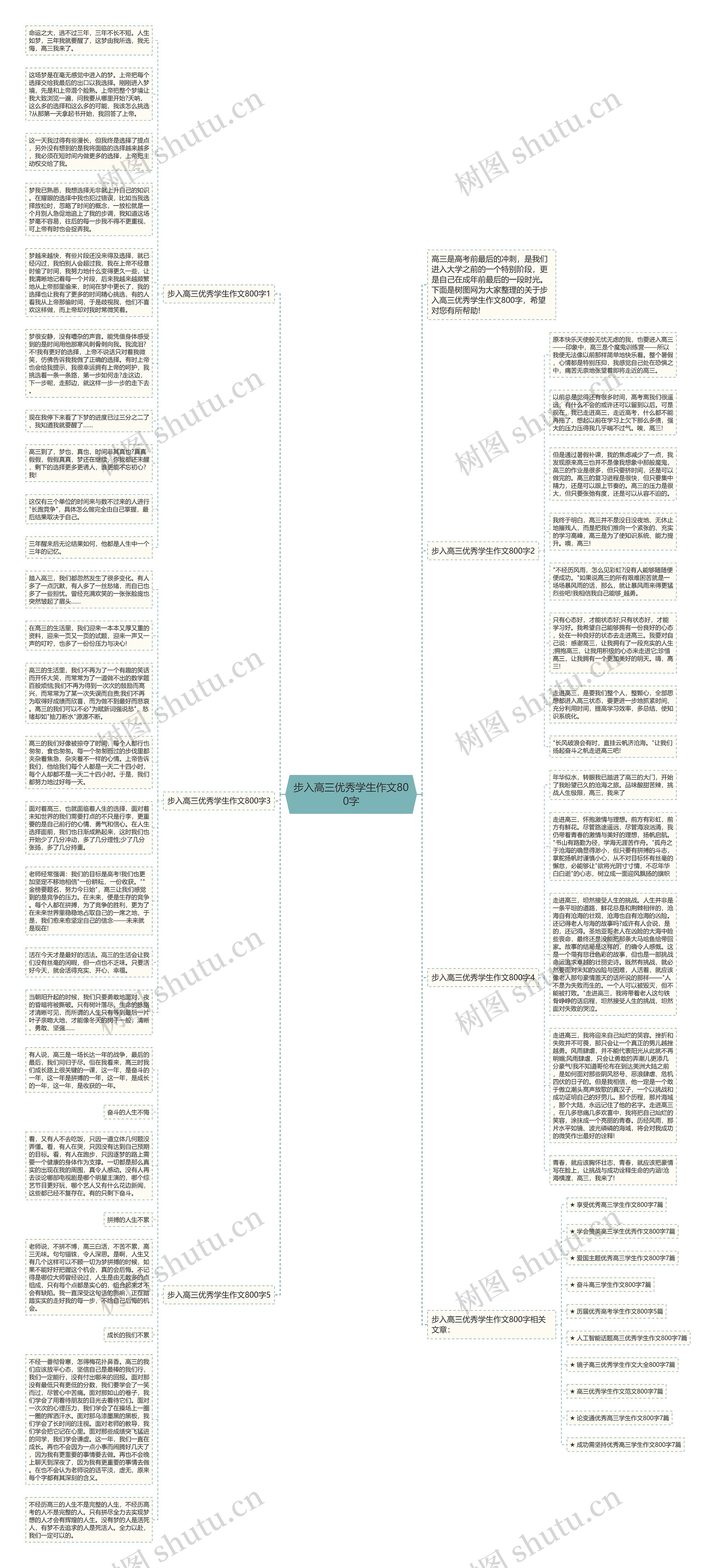 步入高三优秀学生作文800字思维导图