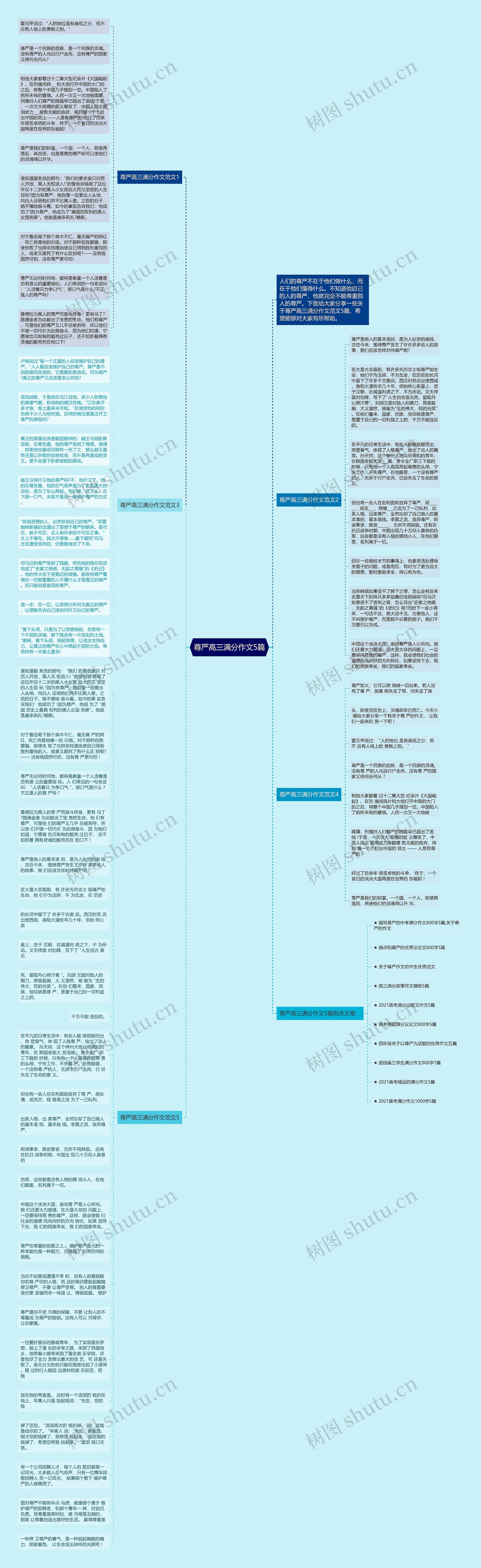 尊严高三满分作文5篇思维导图