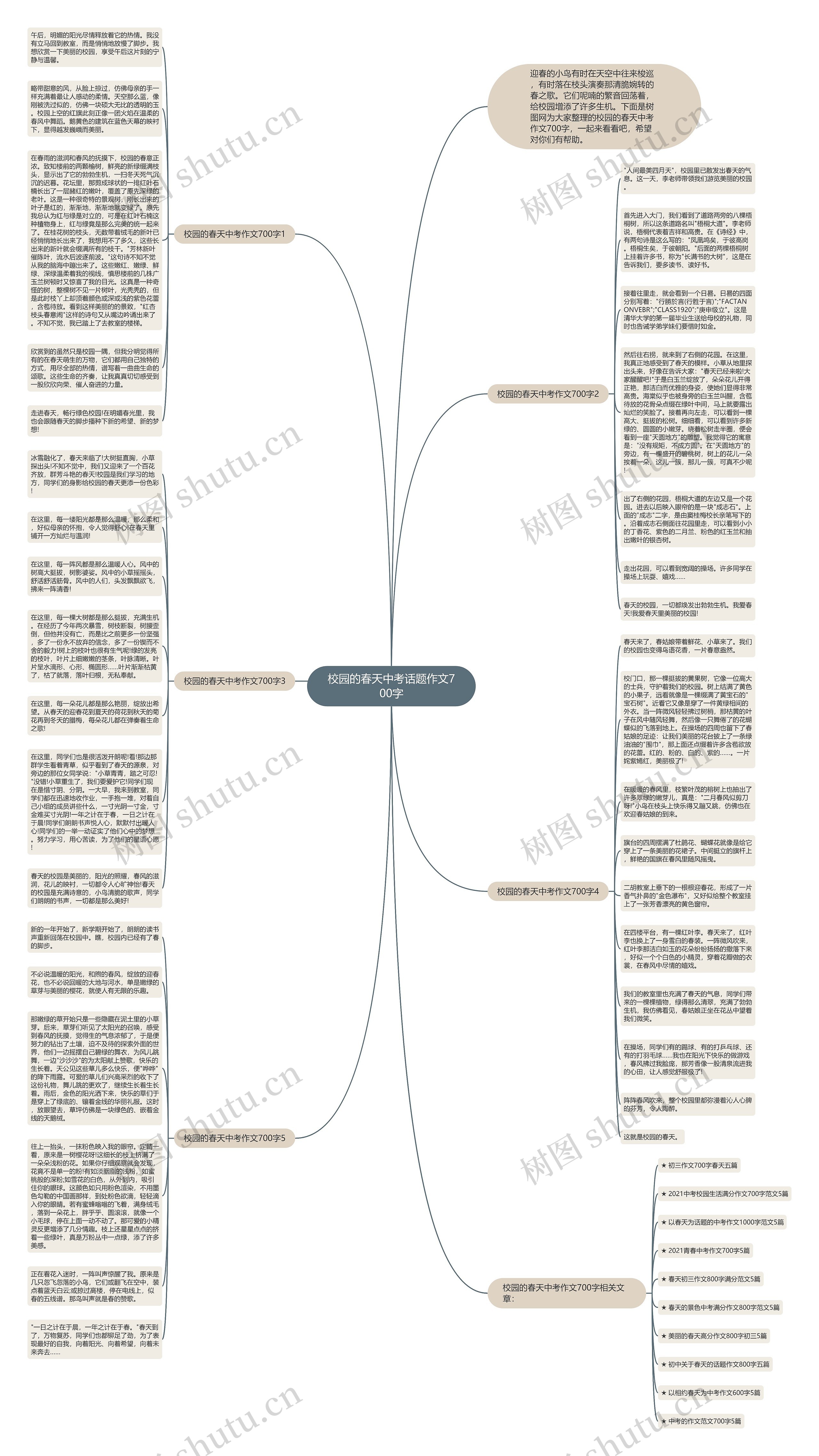 校园的春天中考话题作文700字思维导图