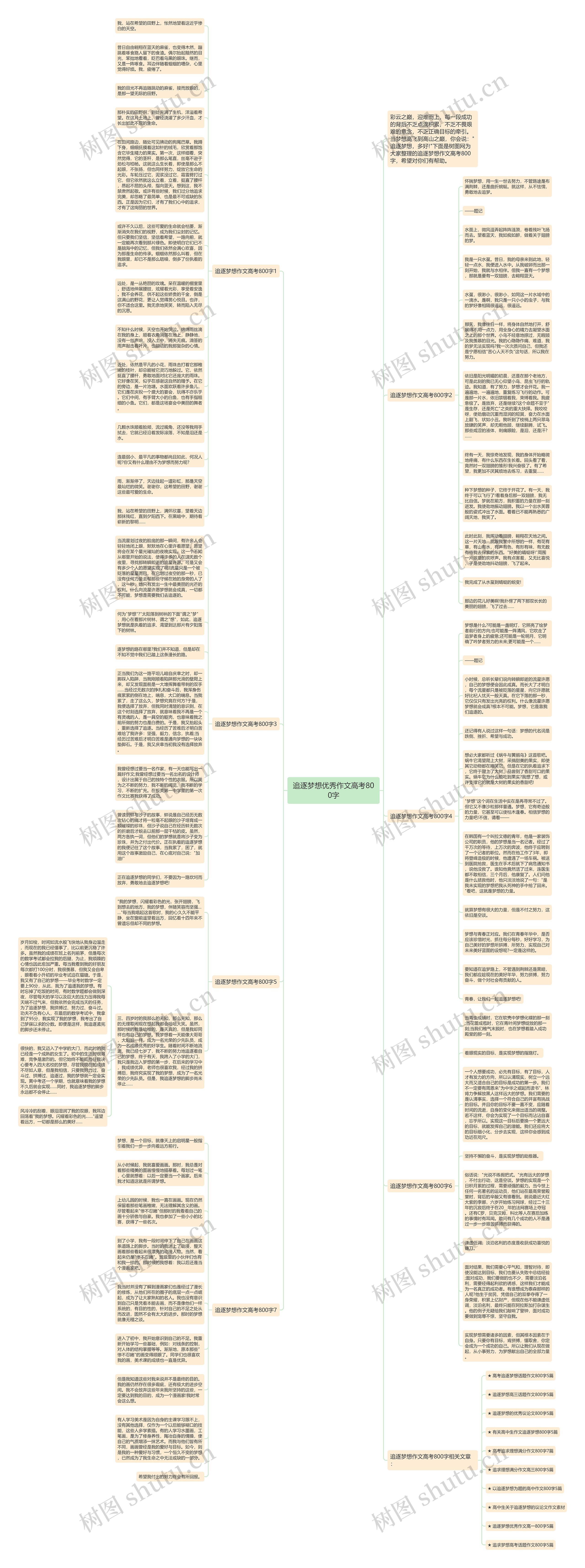 追逐梦想优秀作文高考800字思维导图
