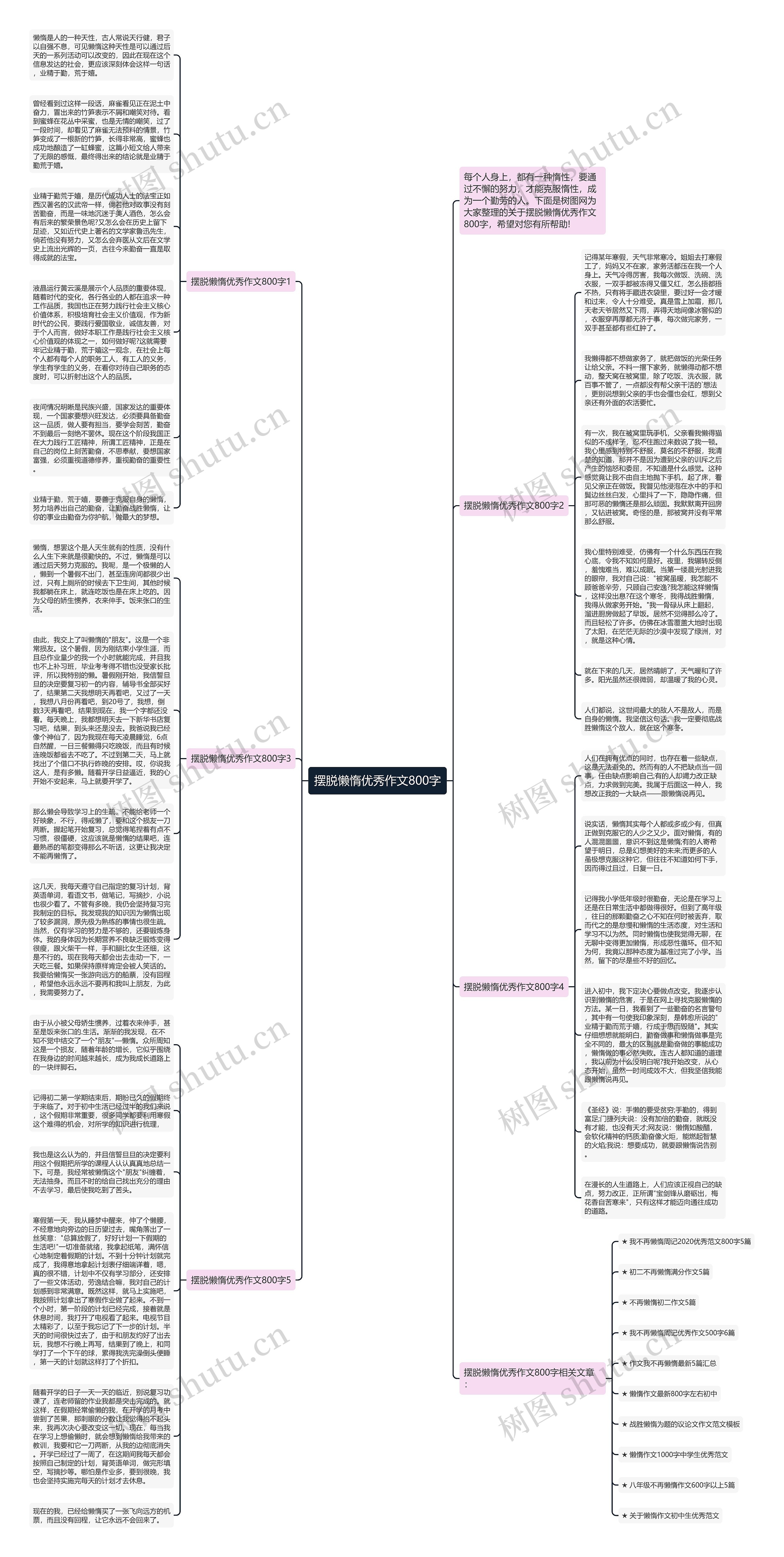 摆脱懒惰优秀作文800字思维导图