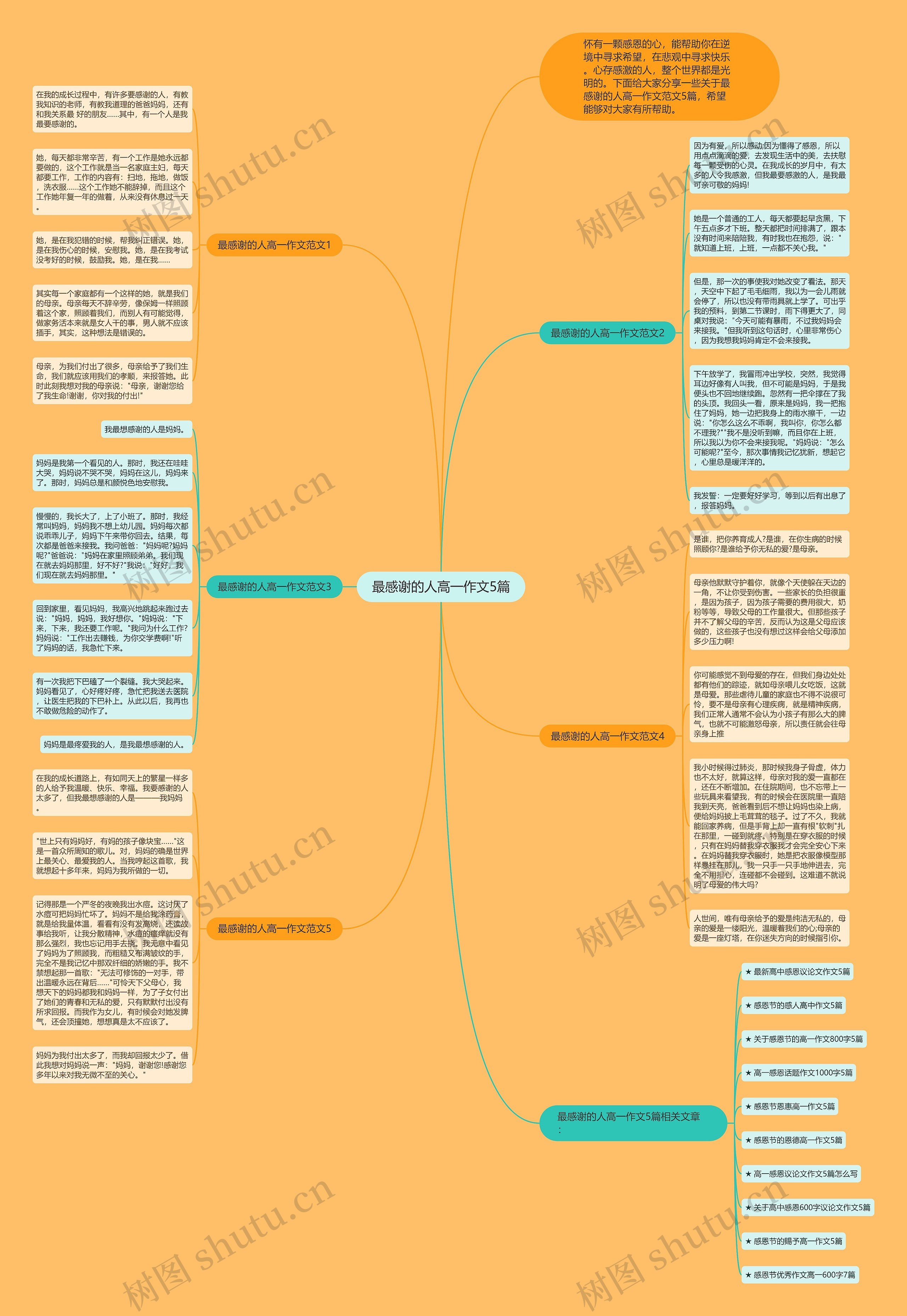 最感谢的人高一作文5篇思维导图