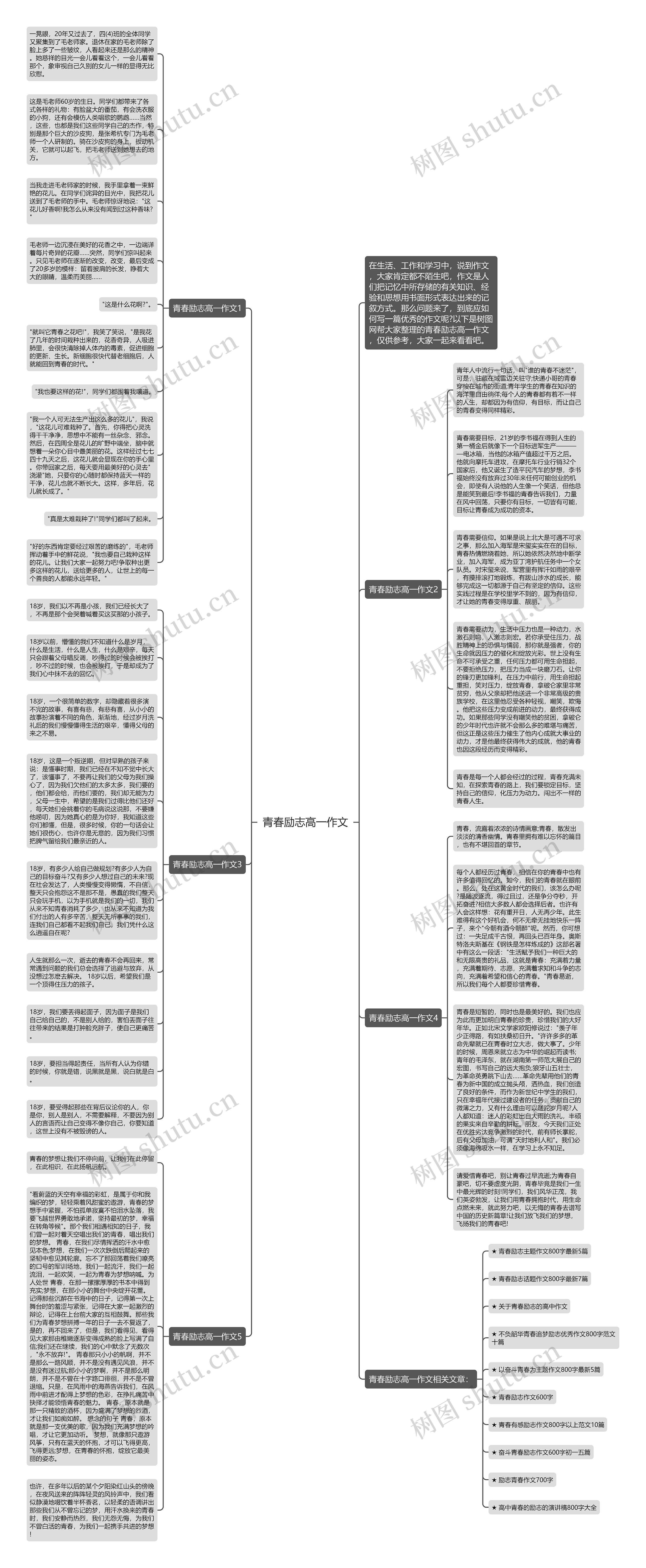 青春励志高一作文思维导图