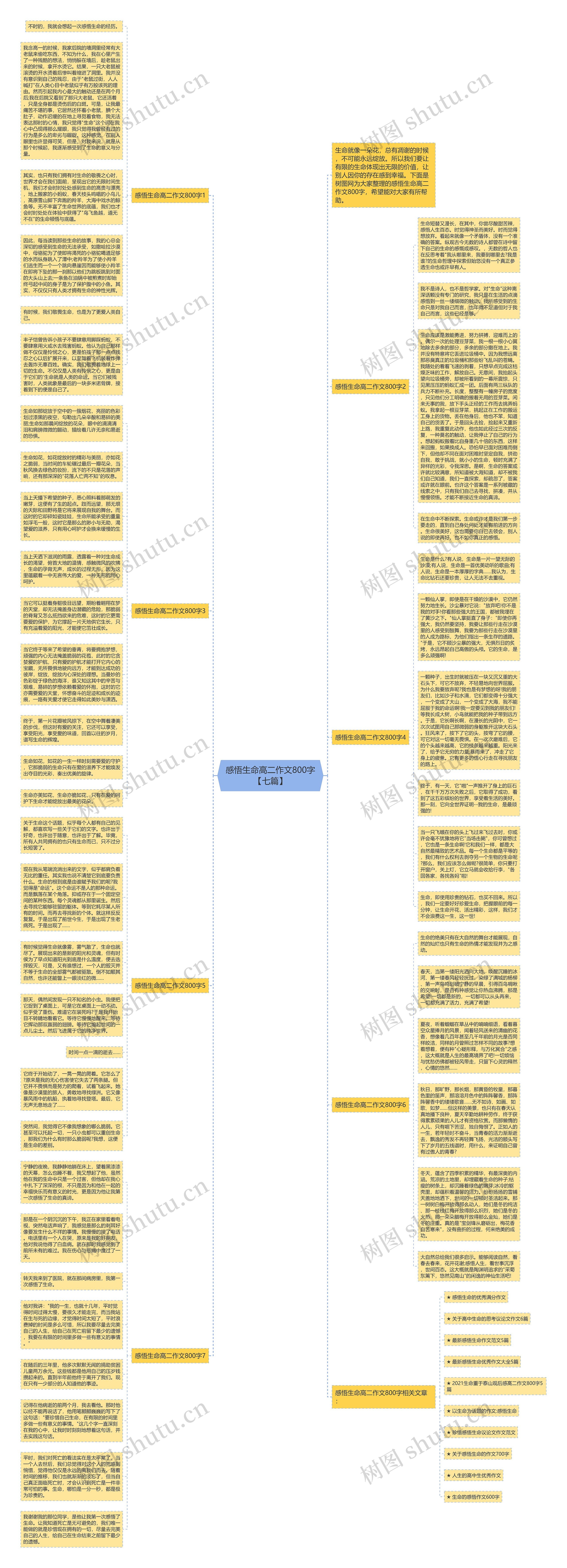 感悟生命高二作文800字【七篇】思维导图