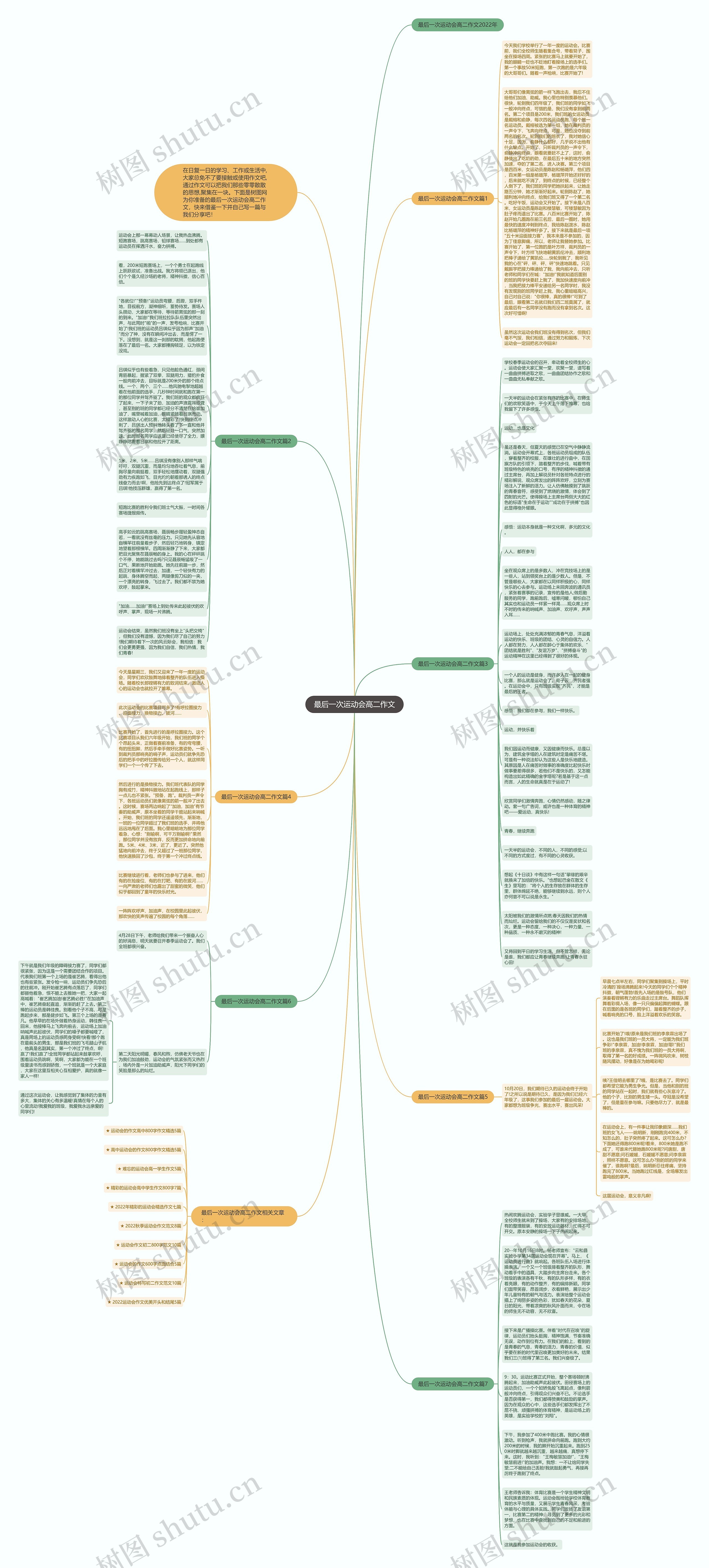 最后一次运动会高二作文思维导图