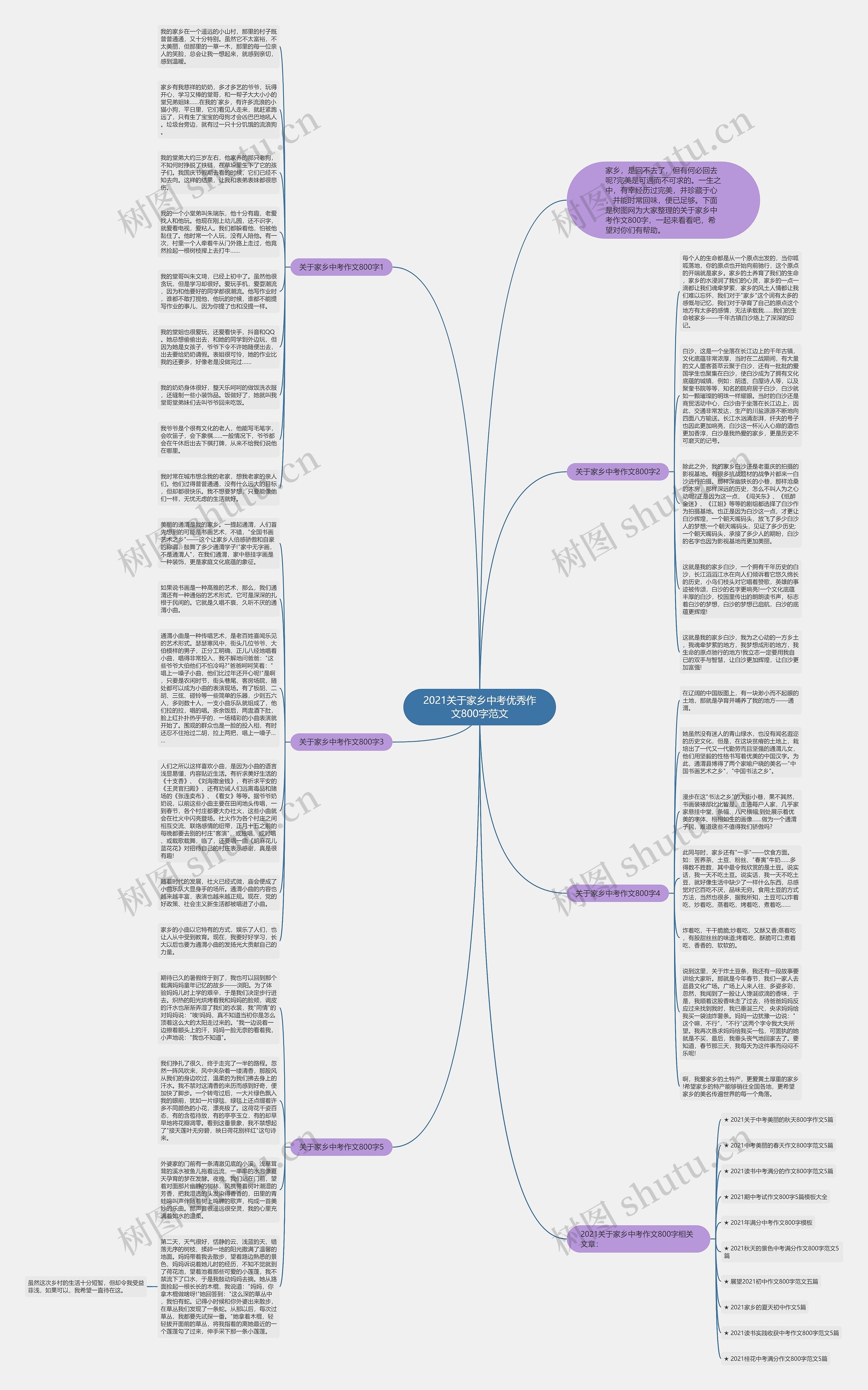 2021关于家乡中考优秀作文800字范文思维导图