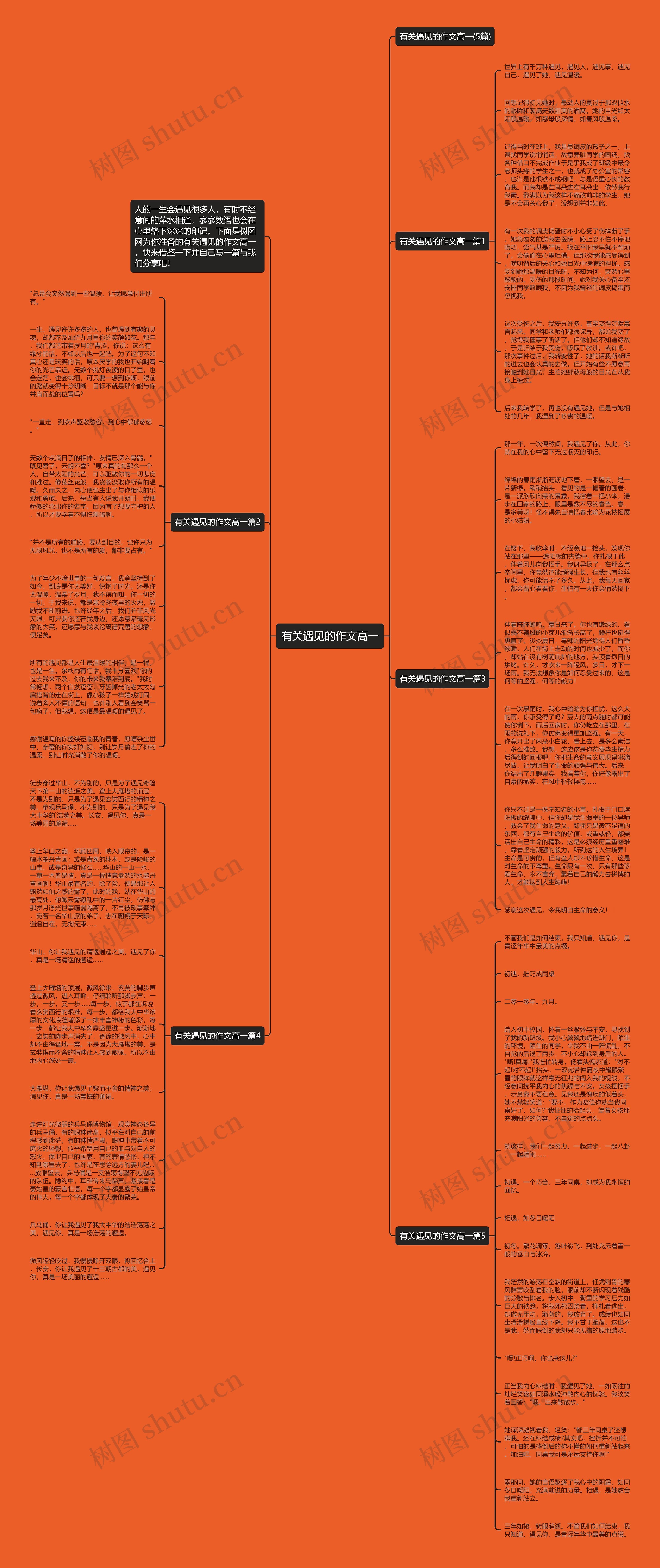 有关遇见的作文高一思维导图高清图 有关遇见的作文高一思维导图