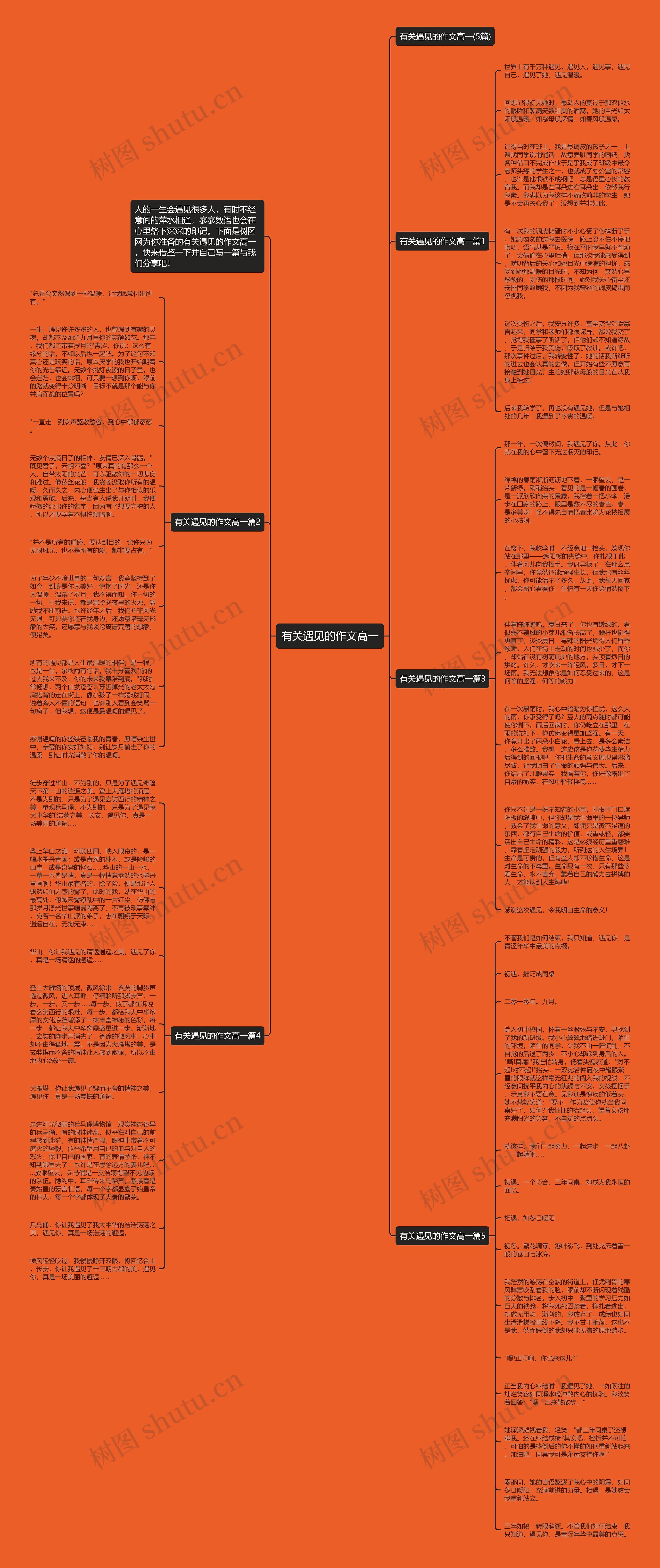 有关遇见的作文高一思维导图