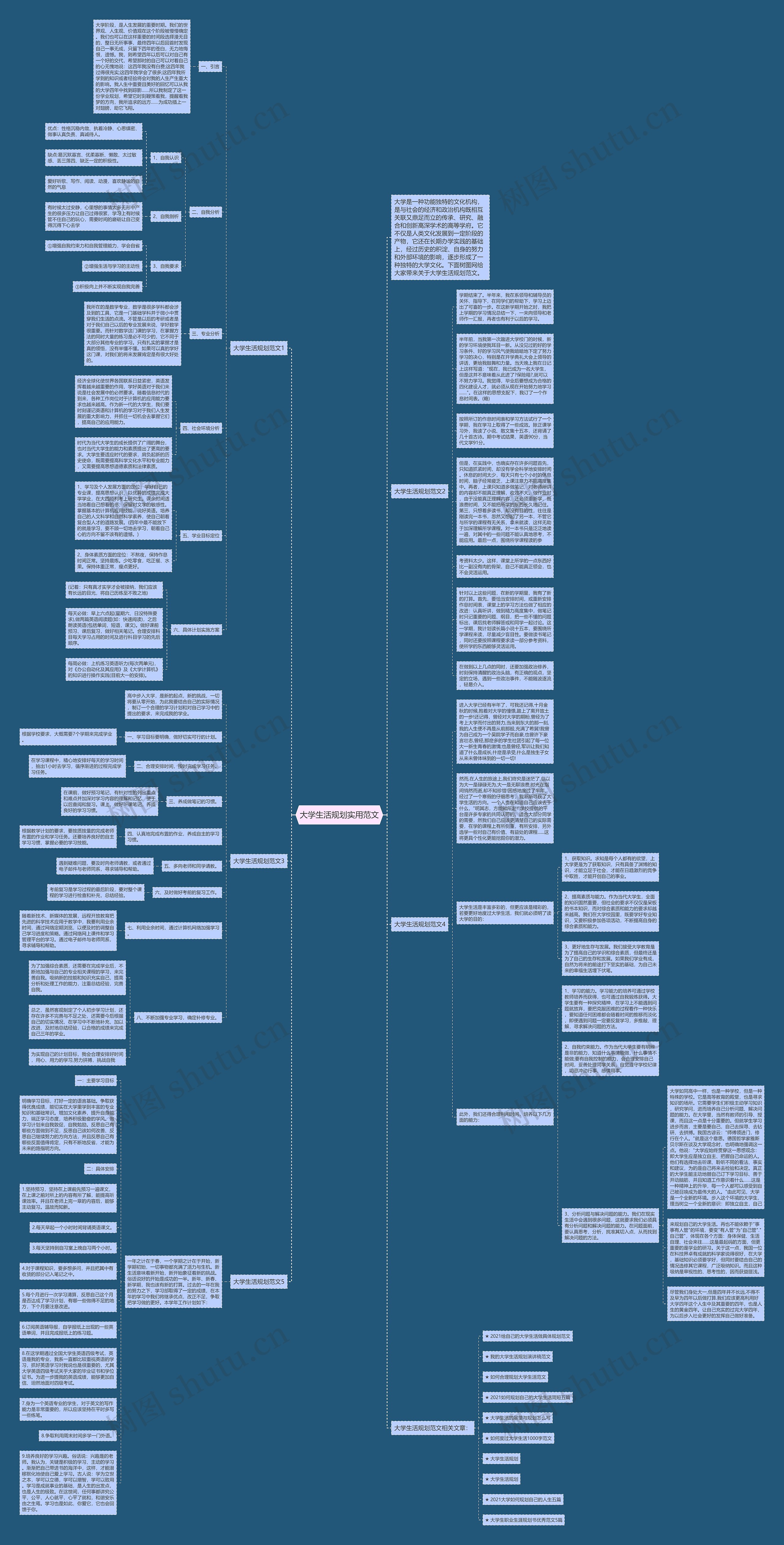 大学生活规划实用范文思维导图