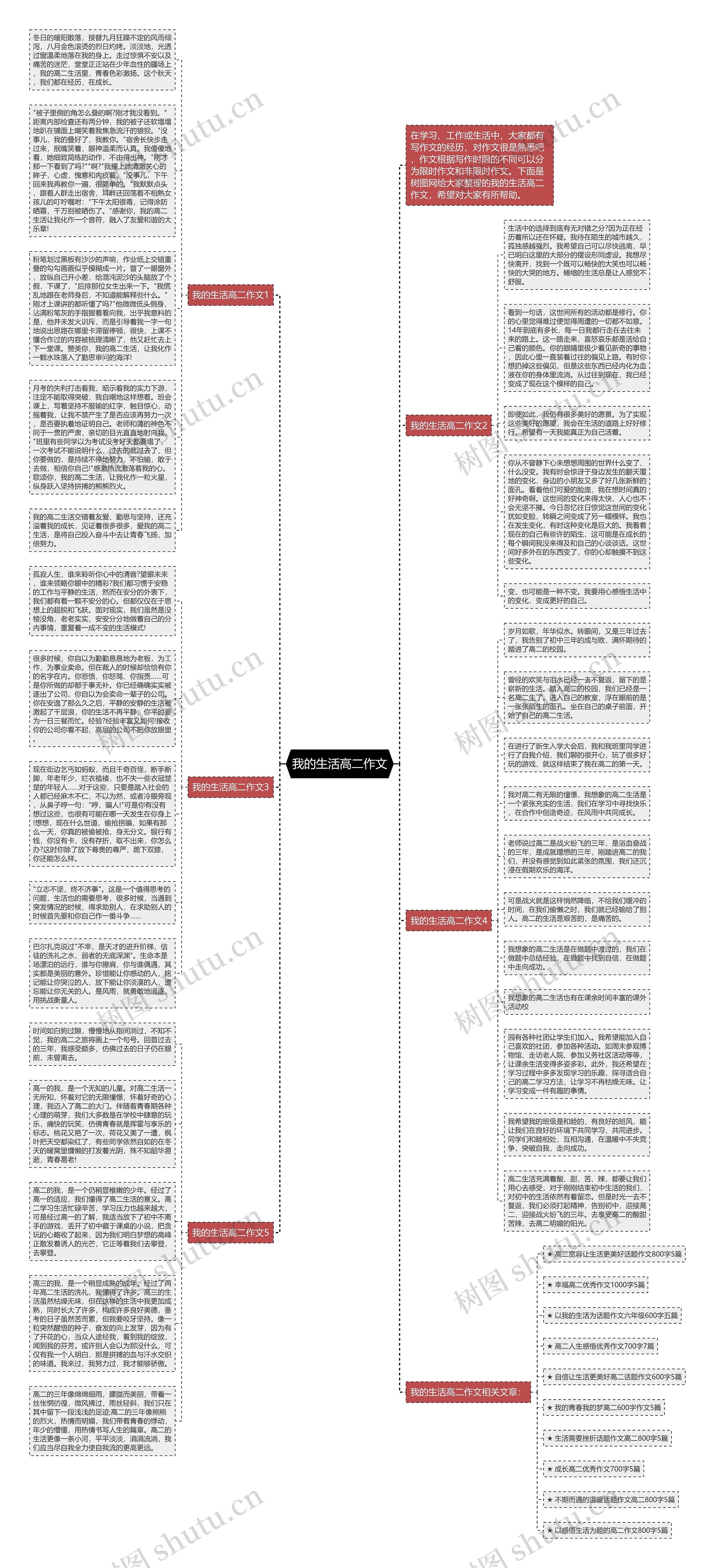 我的生活高二作文思维导图
