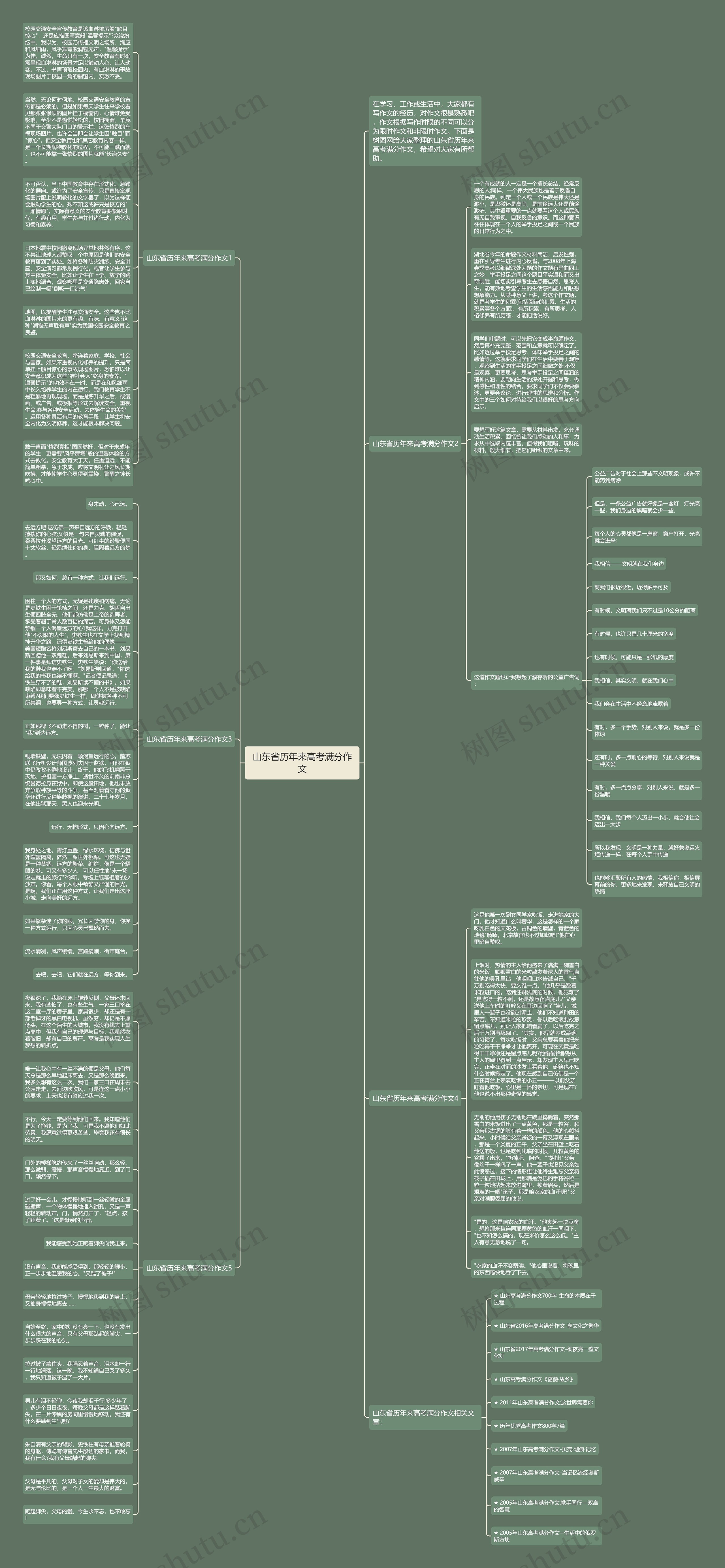 山东省历年来高考满分作文思维导图