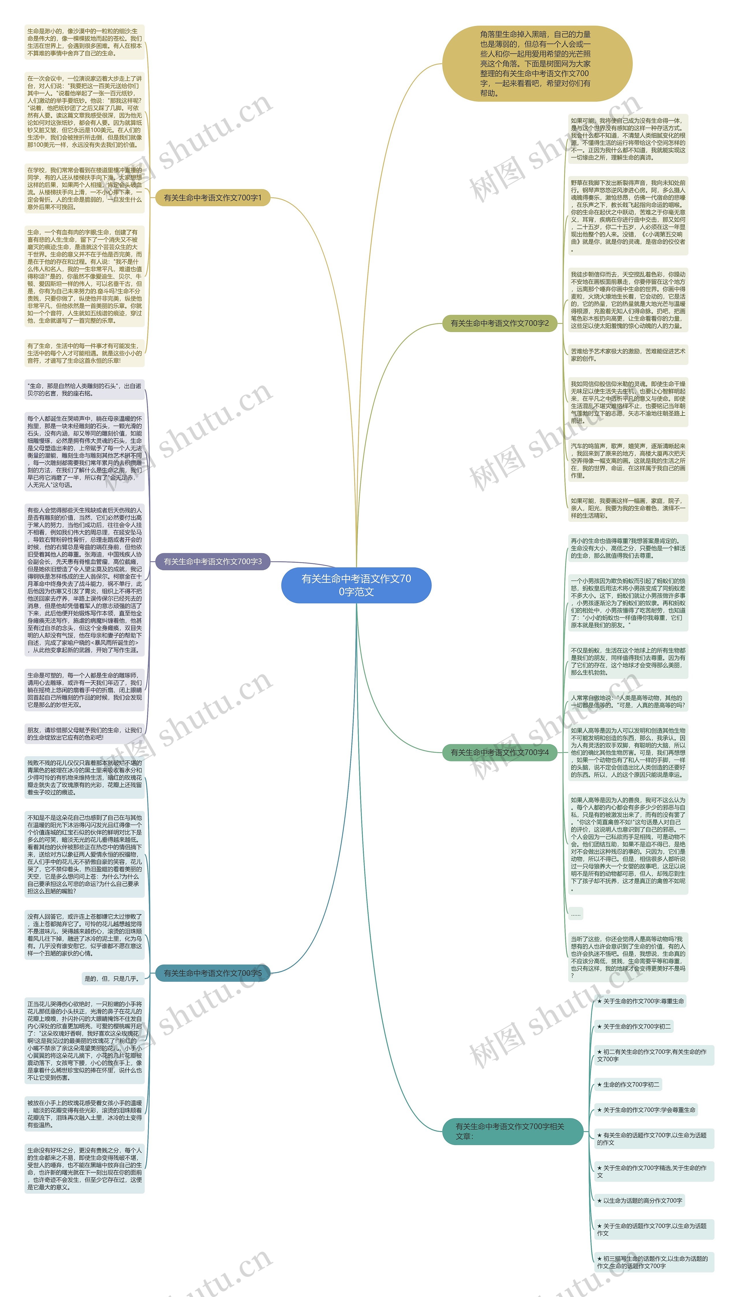 有关生命中考语文作文700字范文思维导图