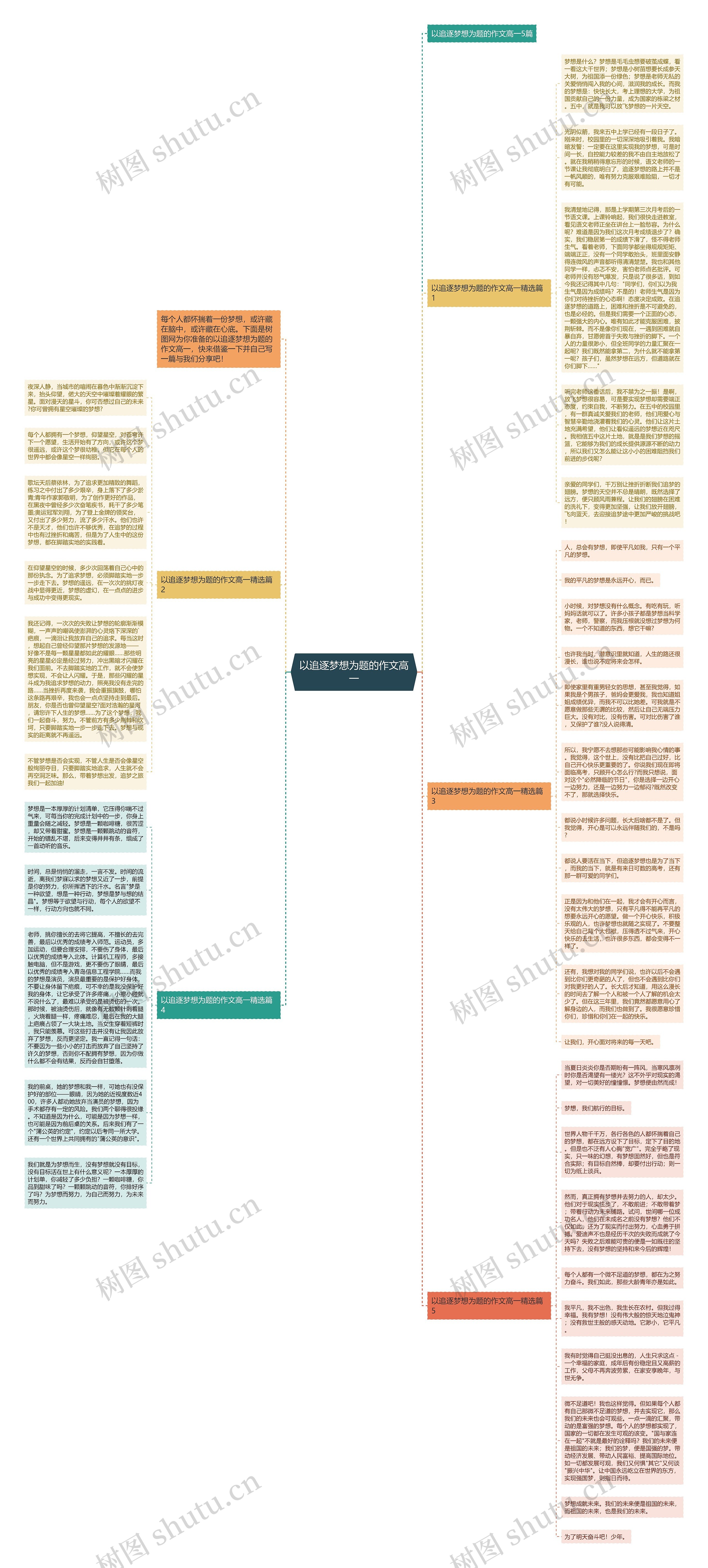 以追逐梦想为题的作文高一思维导图