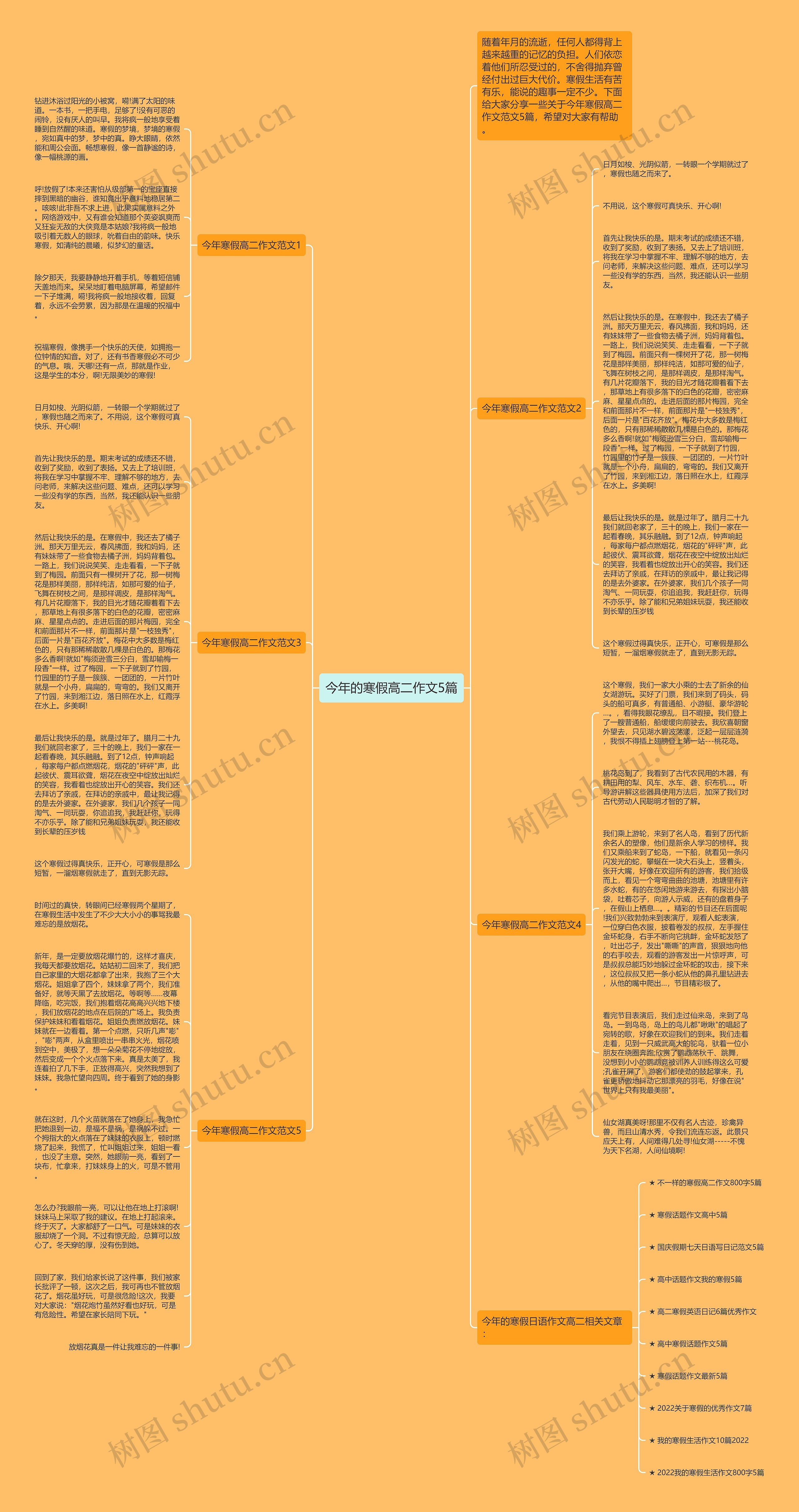 今年的寒假高二作文5篇思维导图