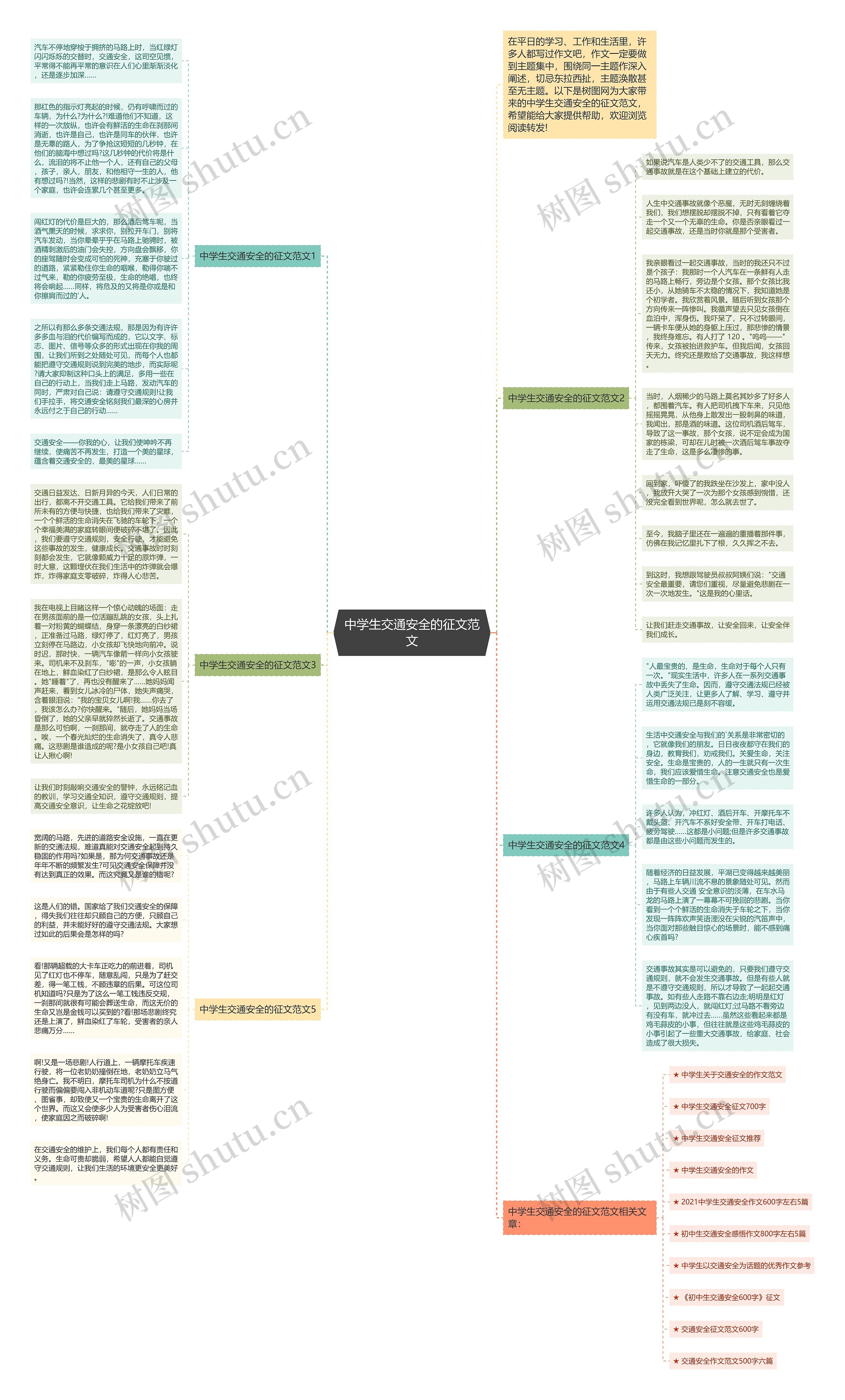 中学生交通安全的征文范文思维导图