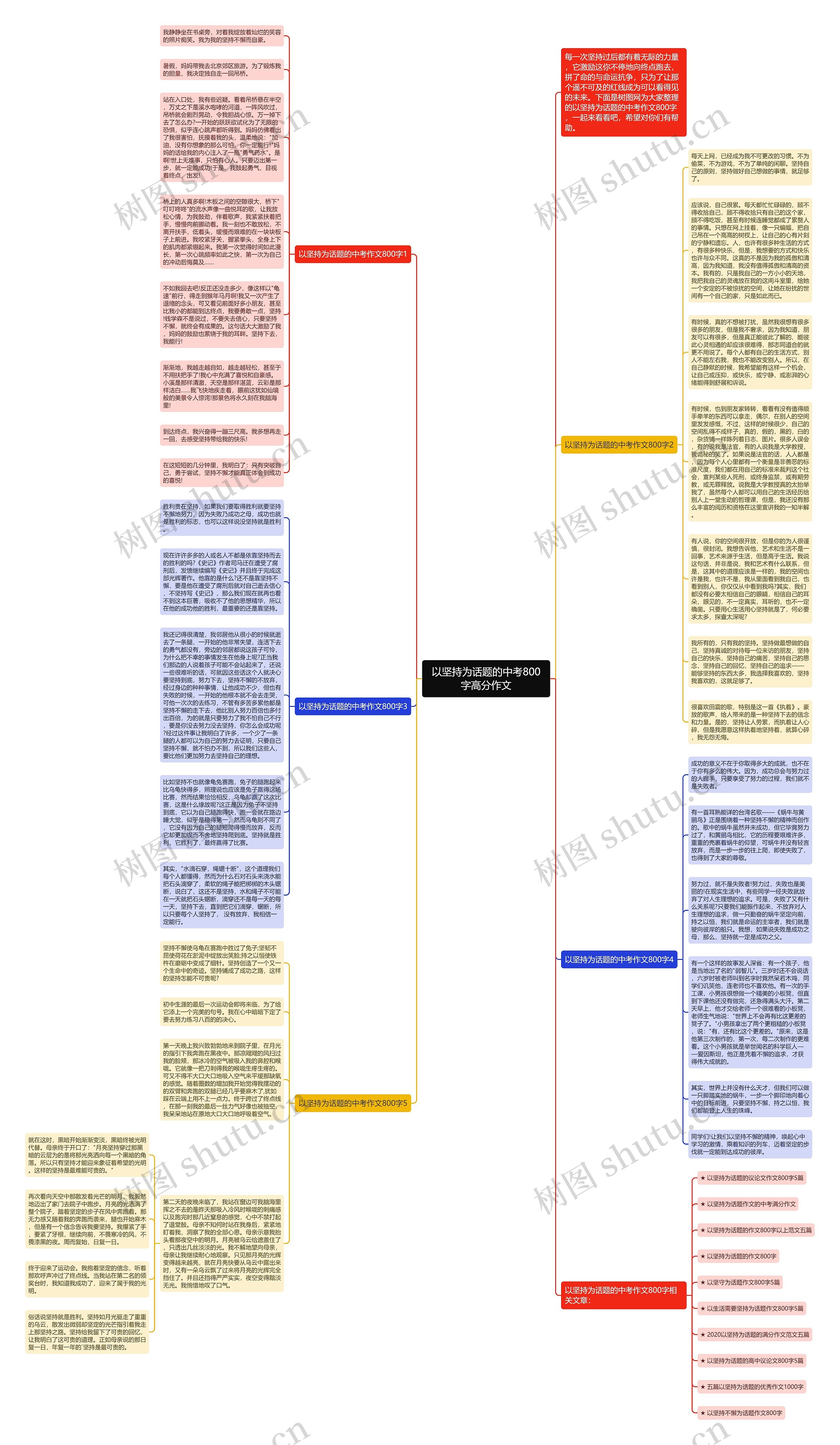 以坚持为话题的中考800字高分作文思维导图