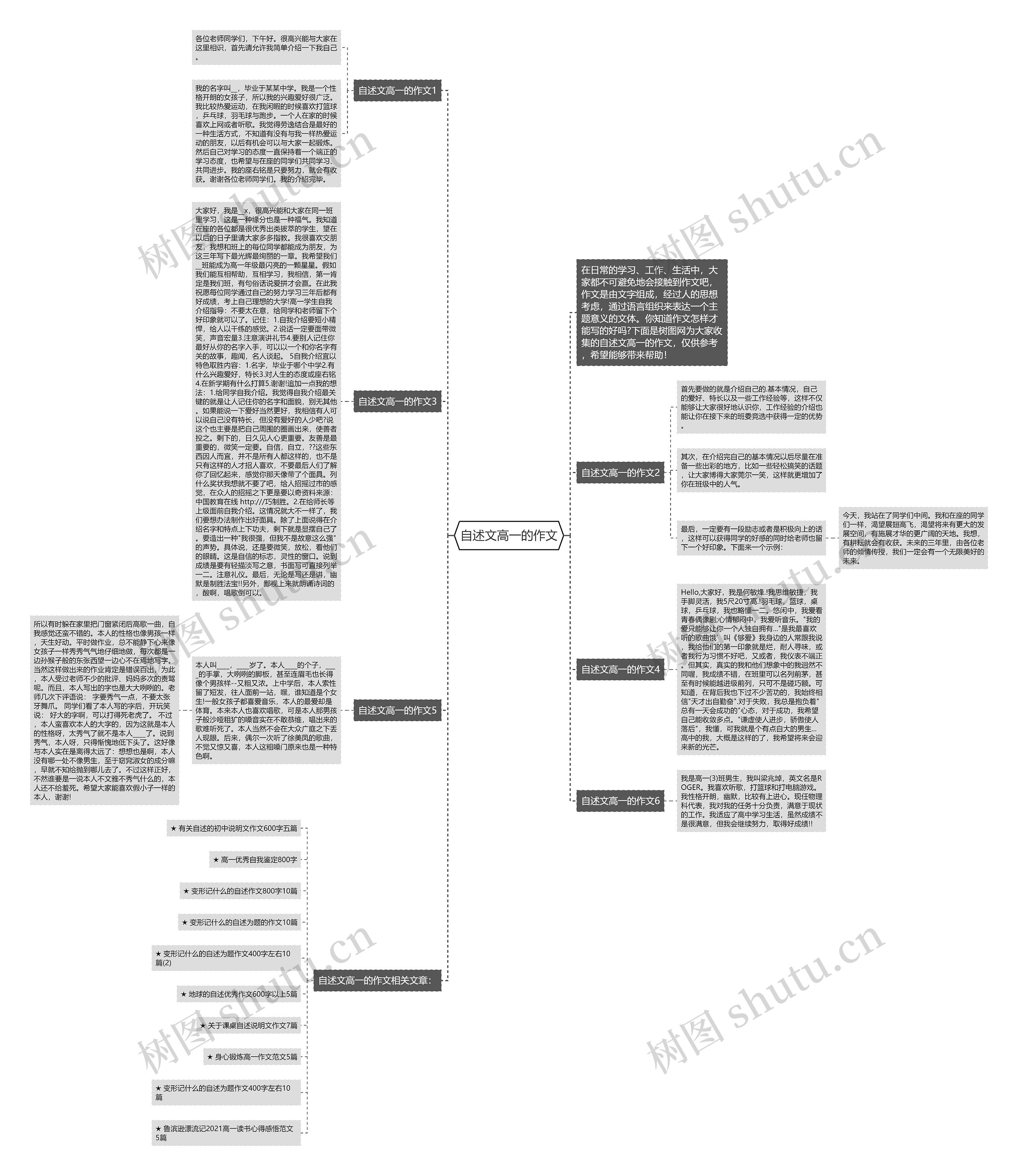 自述文高一的作文思维导图