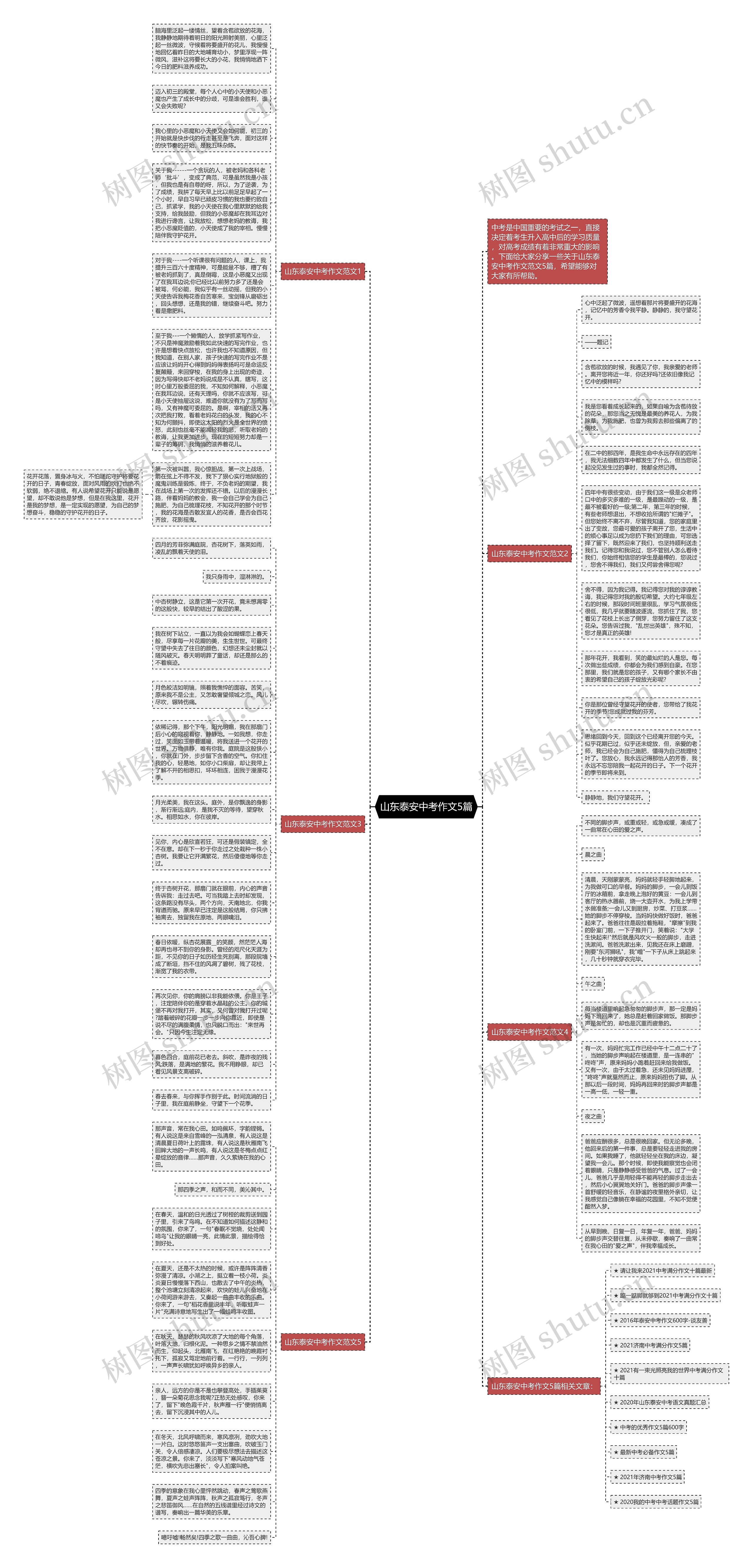 山东泰安中考作文5篇思维导图