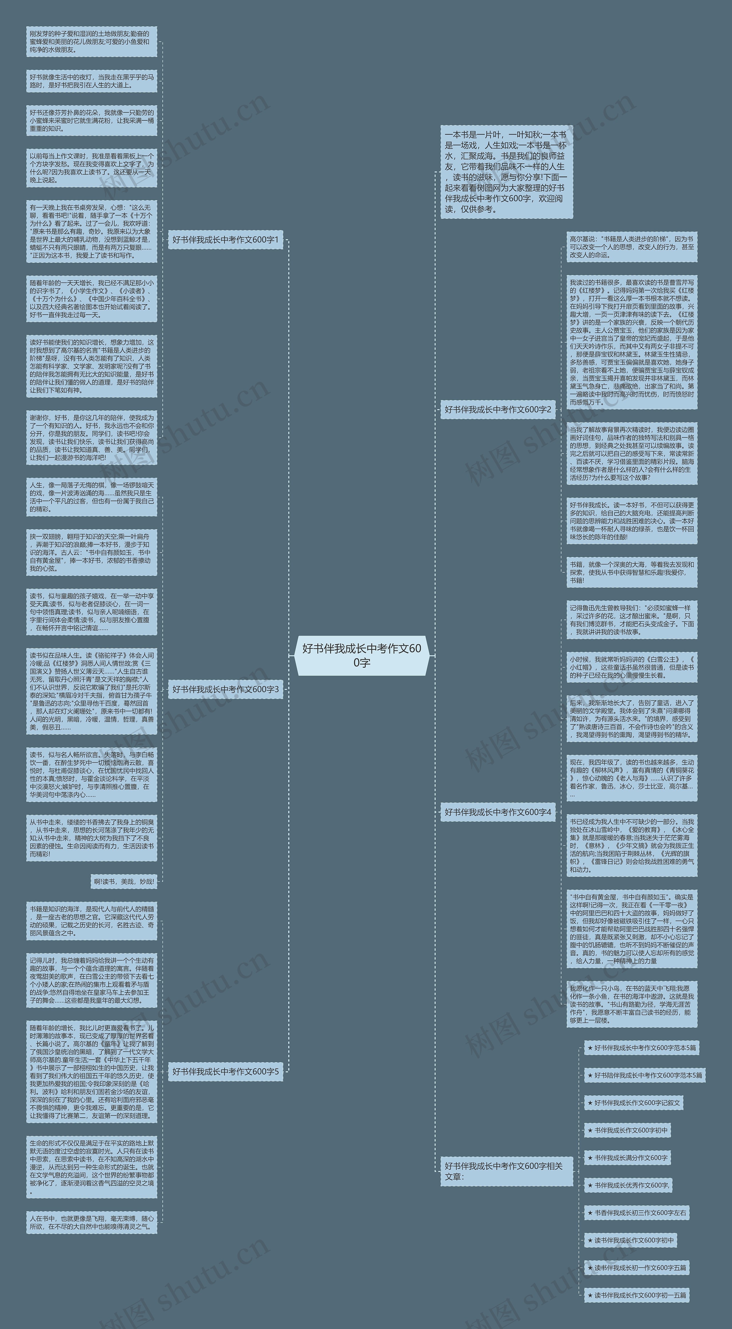 好书伴我成长中考作文600字思维导图