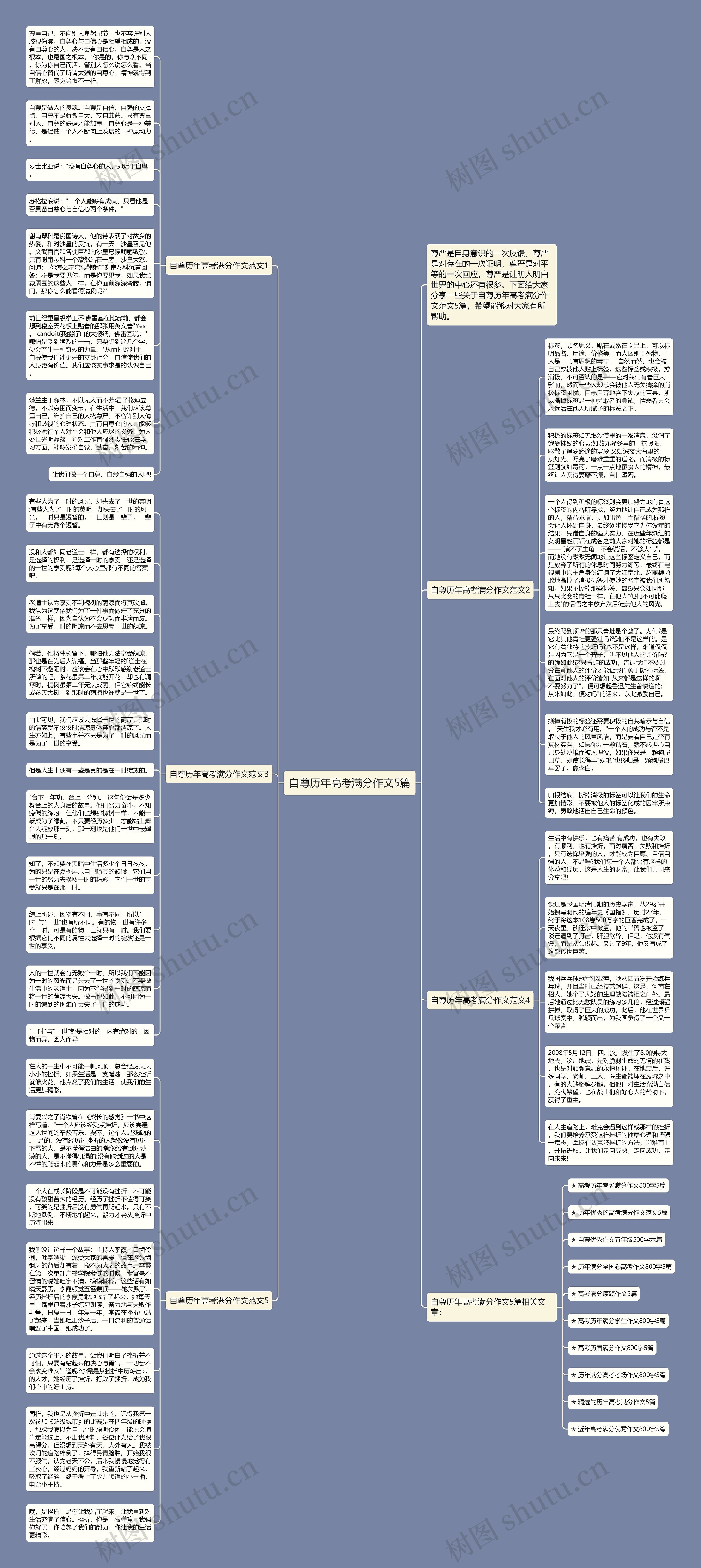自尊历年高考满分作文5篇思维导图