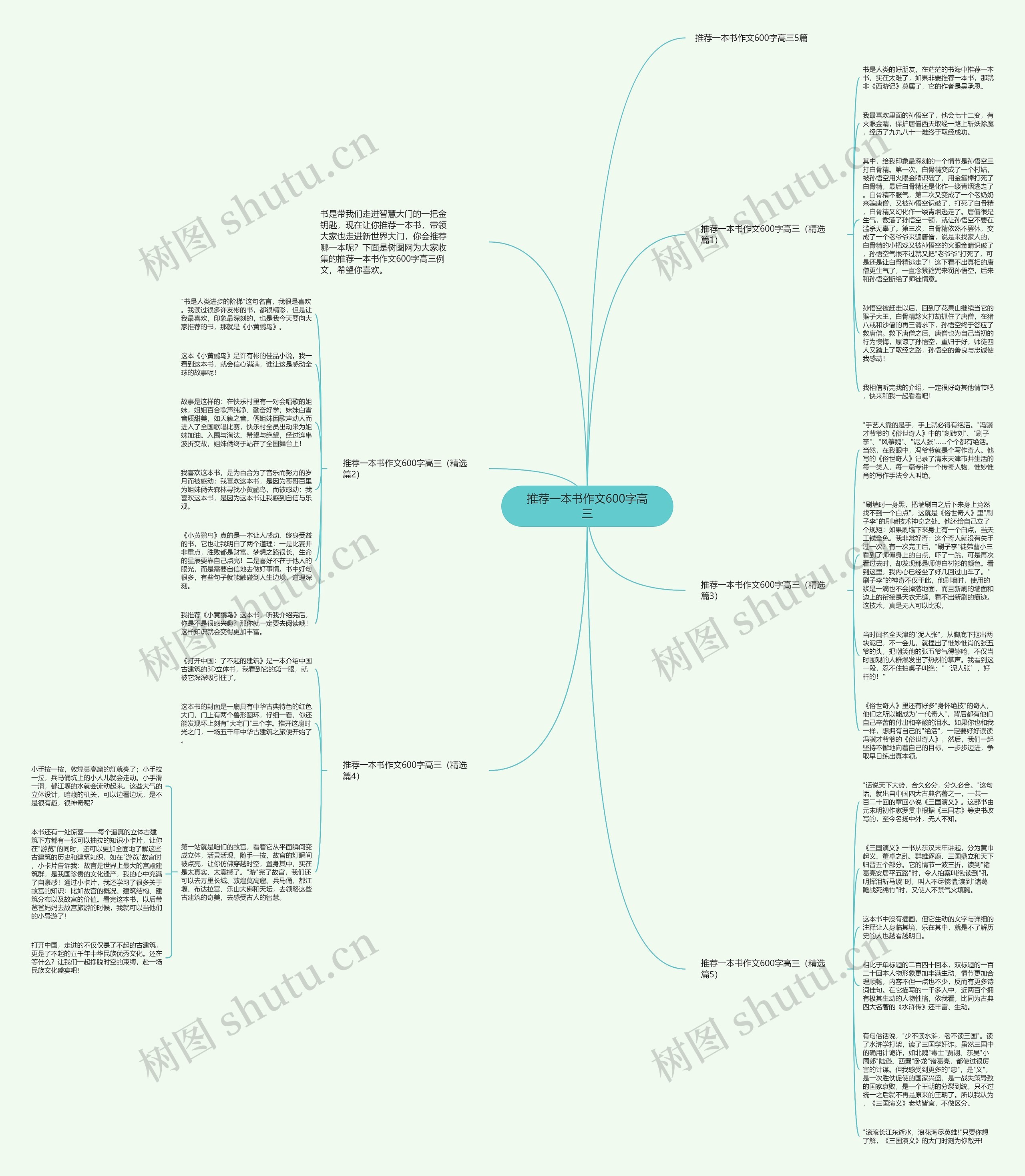 推荐一本书作文600字高三思维导图