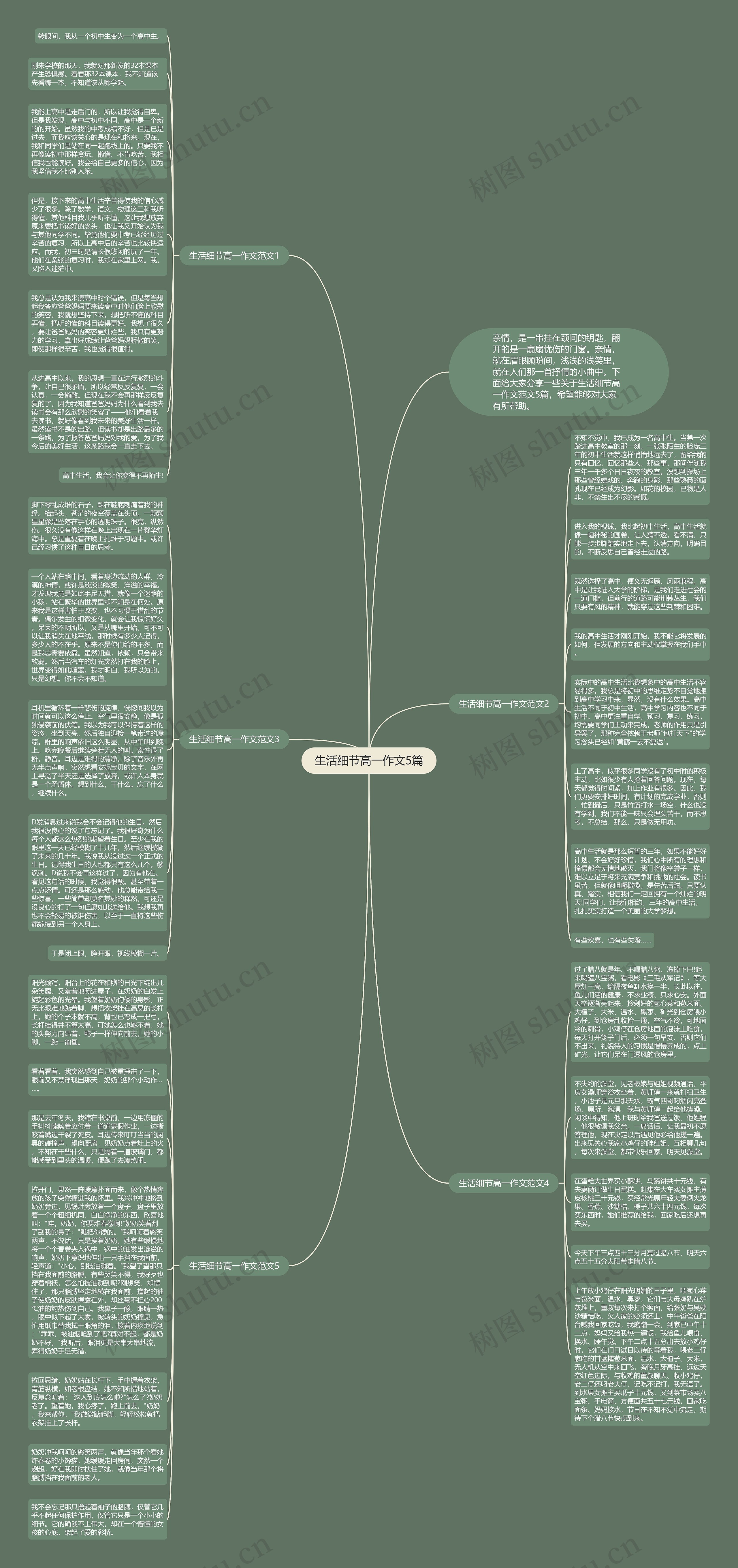 生活细节高一作文5篇思维导图