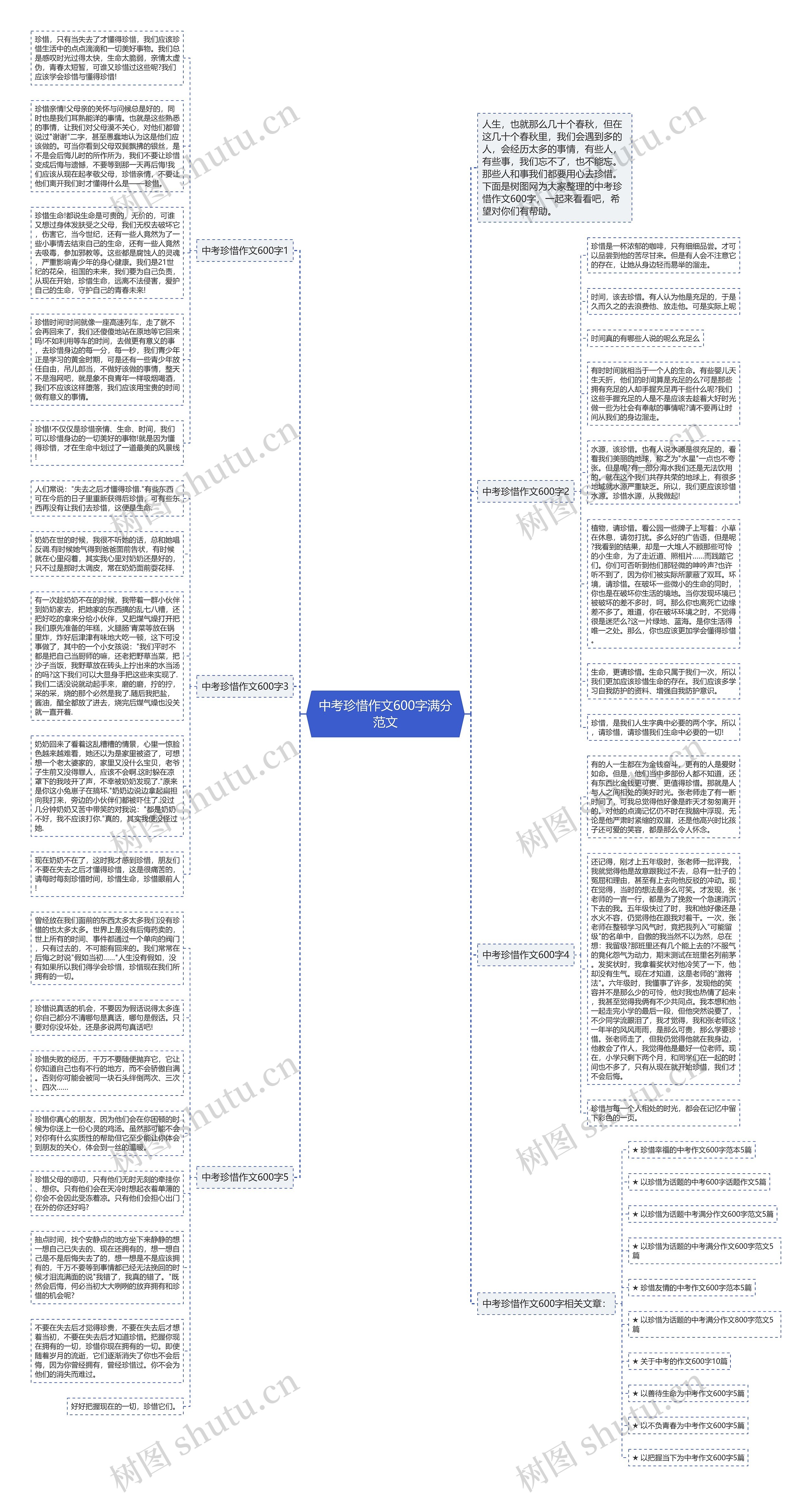 中考珍惜作文600字满分范文思维导图