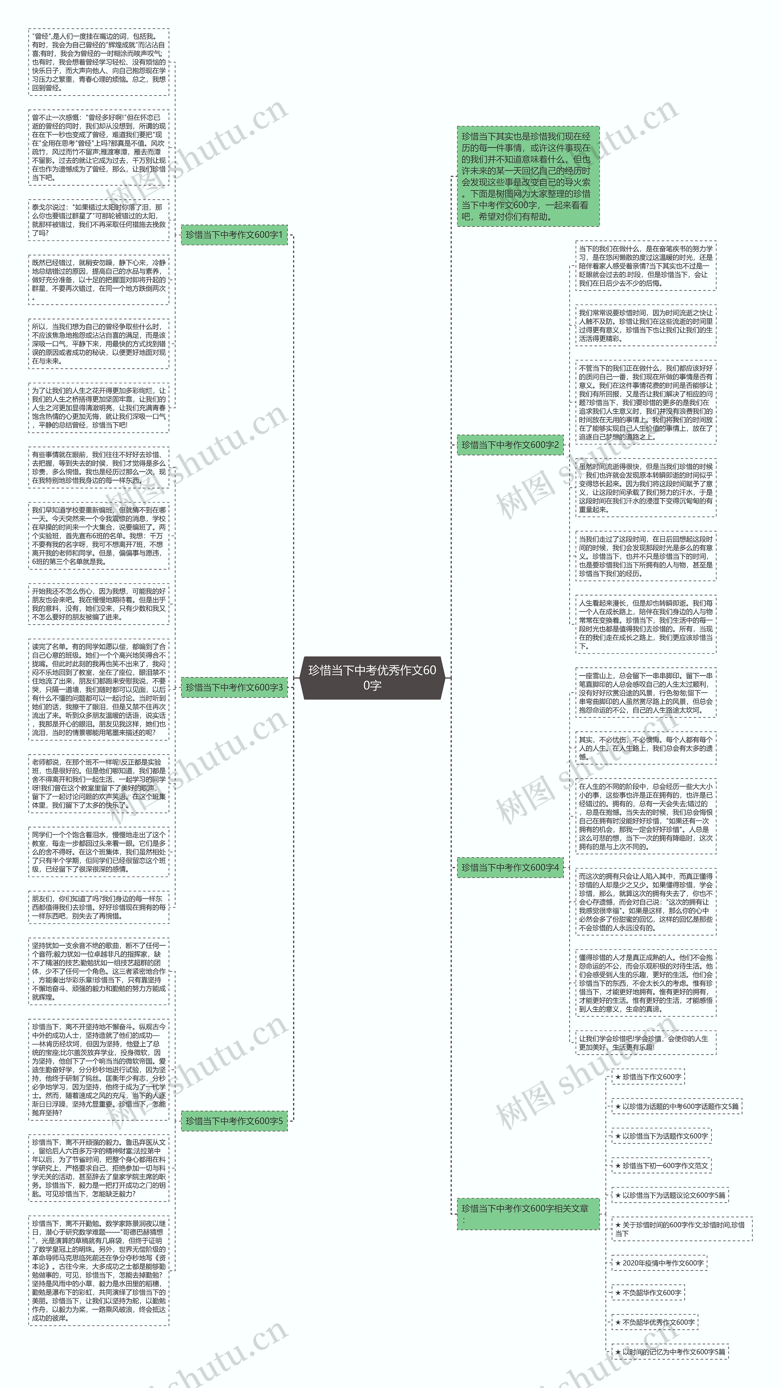 珍惜当下中考优秀作文600字思维导图