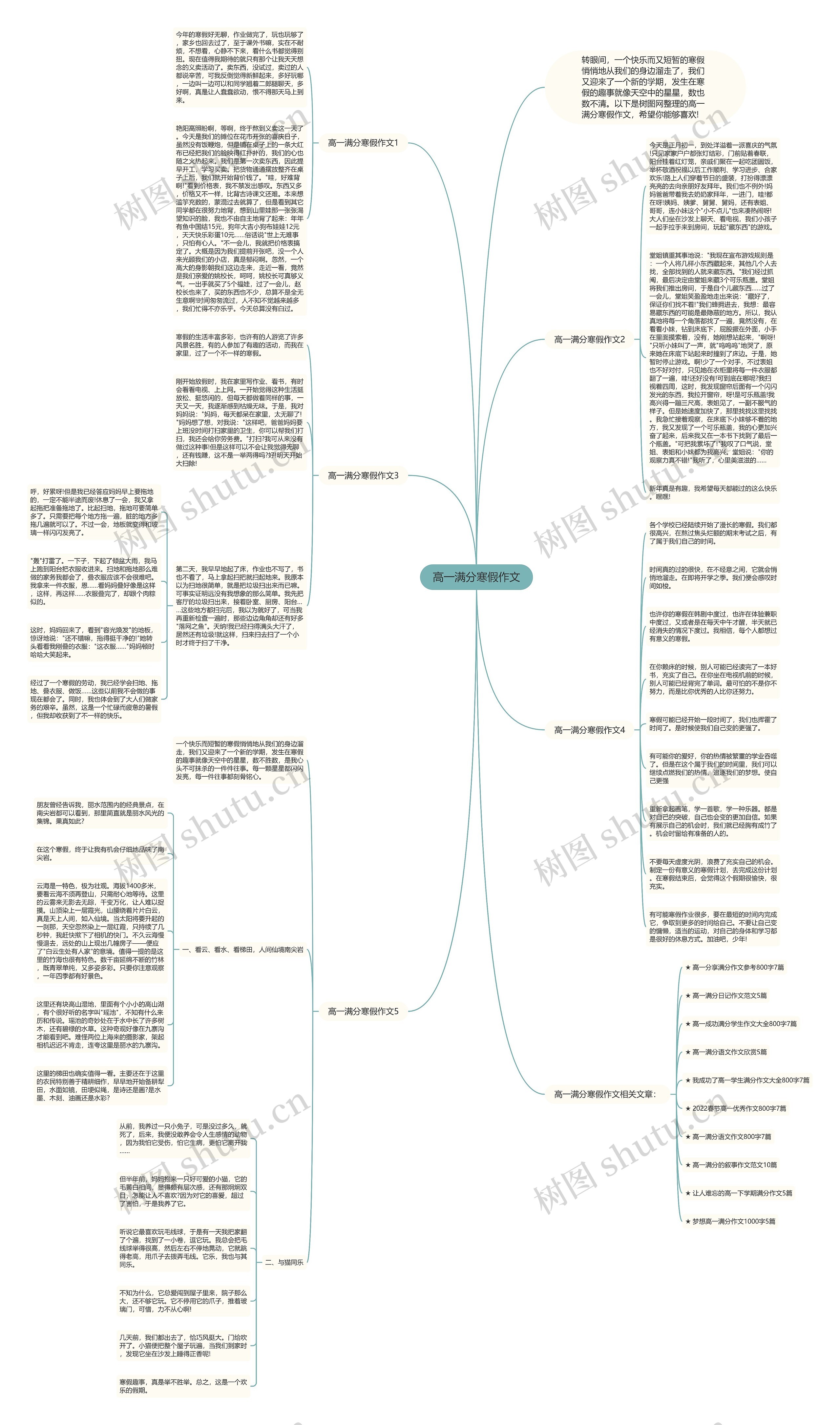 高一满分寒假作文思维导图