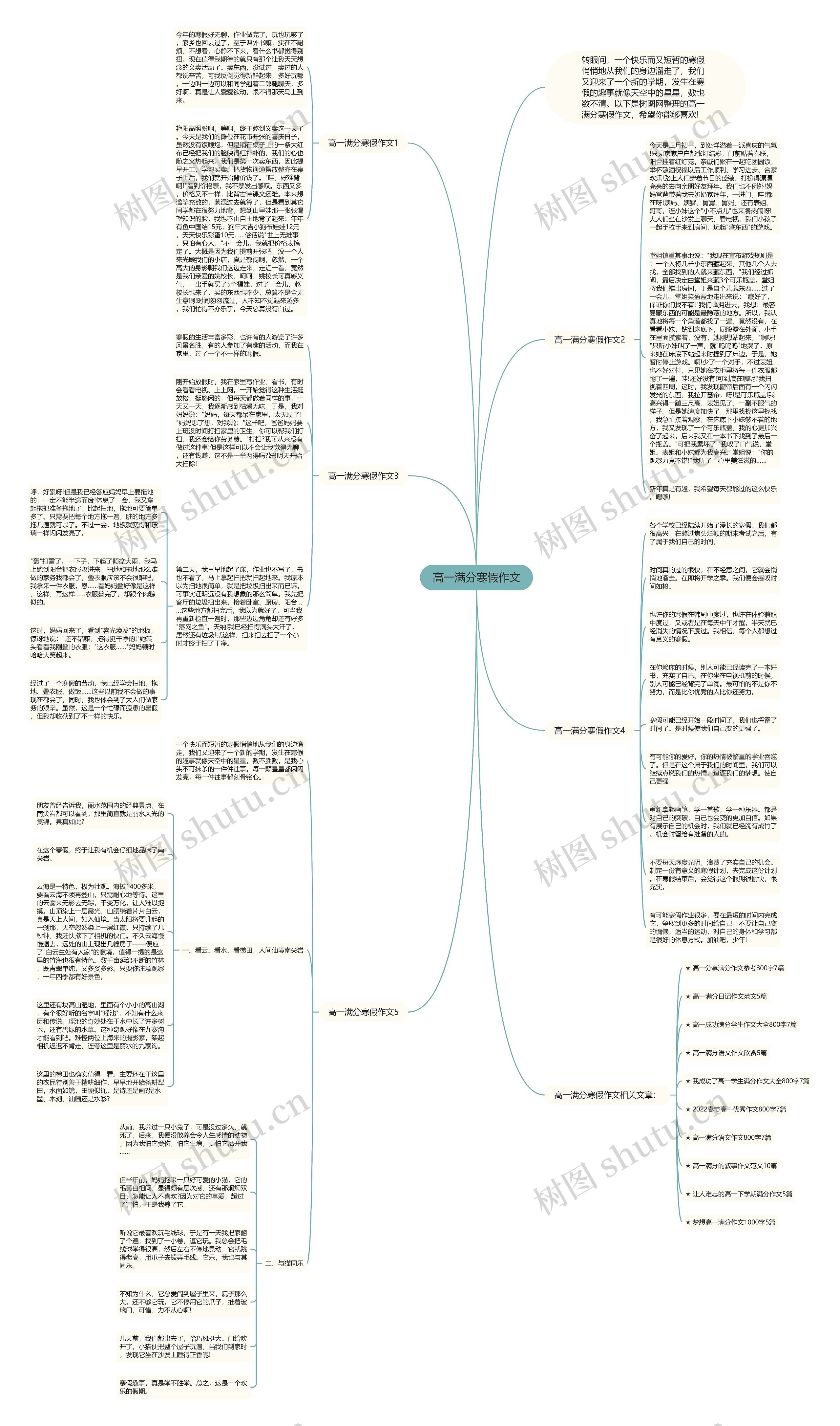 高一满分寒假作文思维导图高清图 高一满分寒假作文思维导图