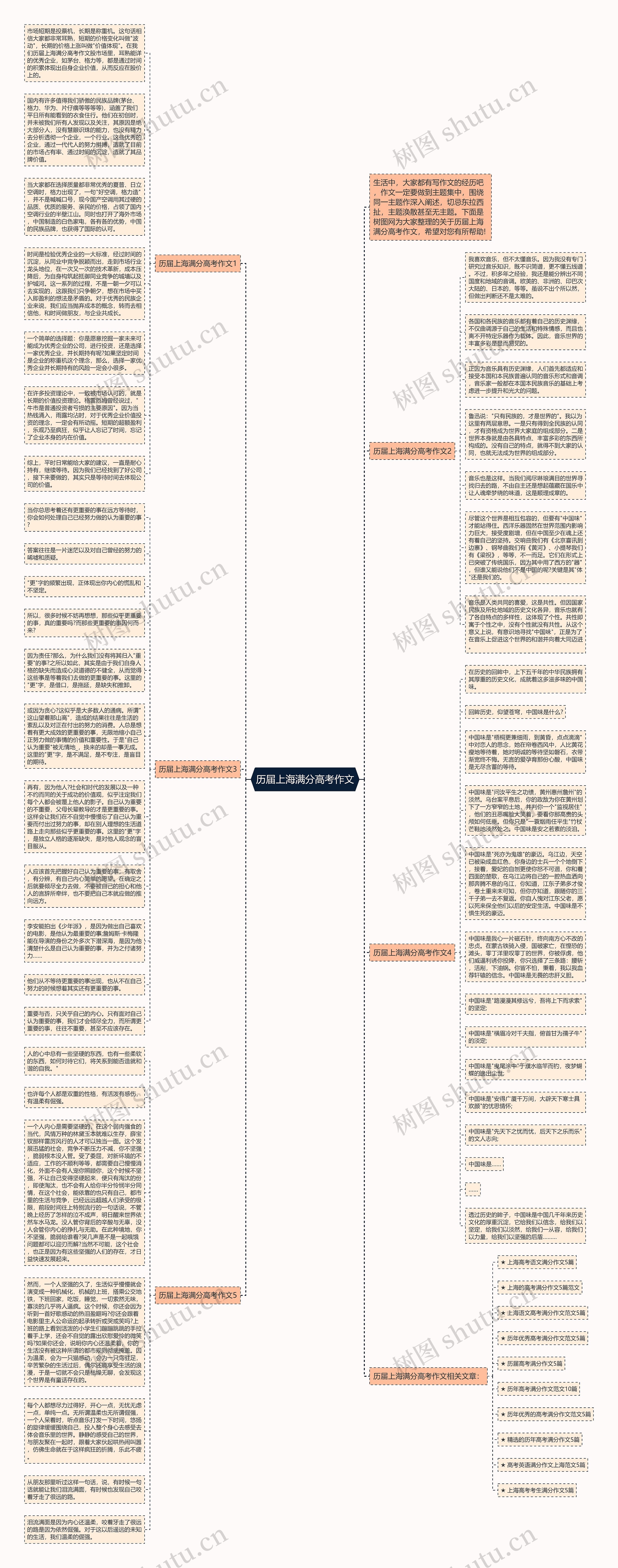 历届上海满分高考作文思维导图