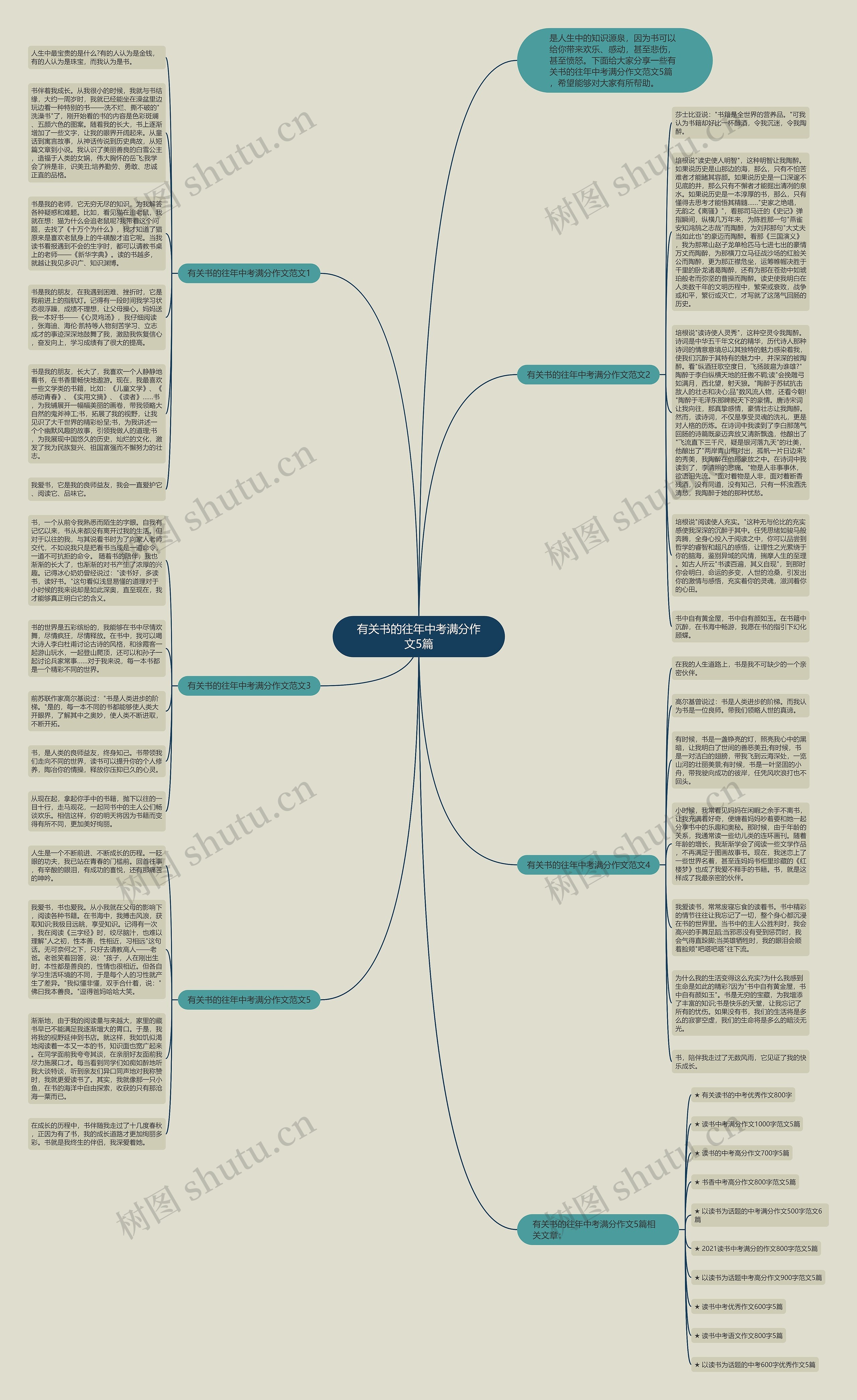 有关书的往年中考满分作文5篇思维导图