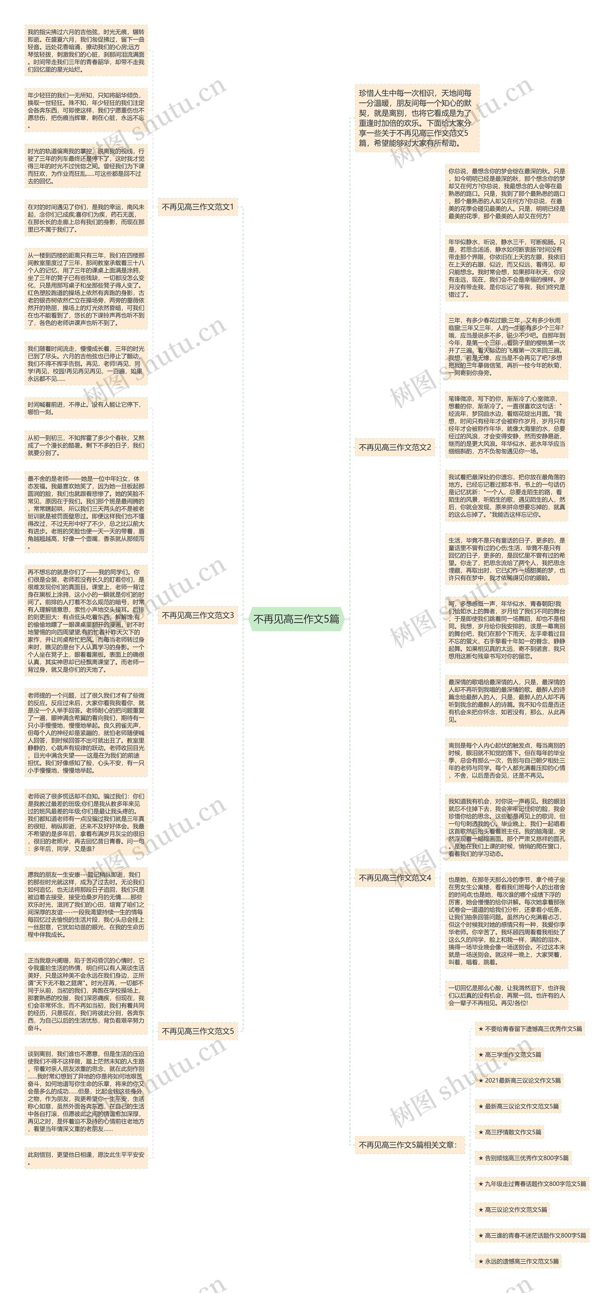 不再见高三作文5篇思维导图