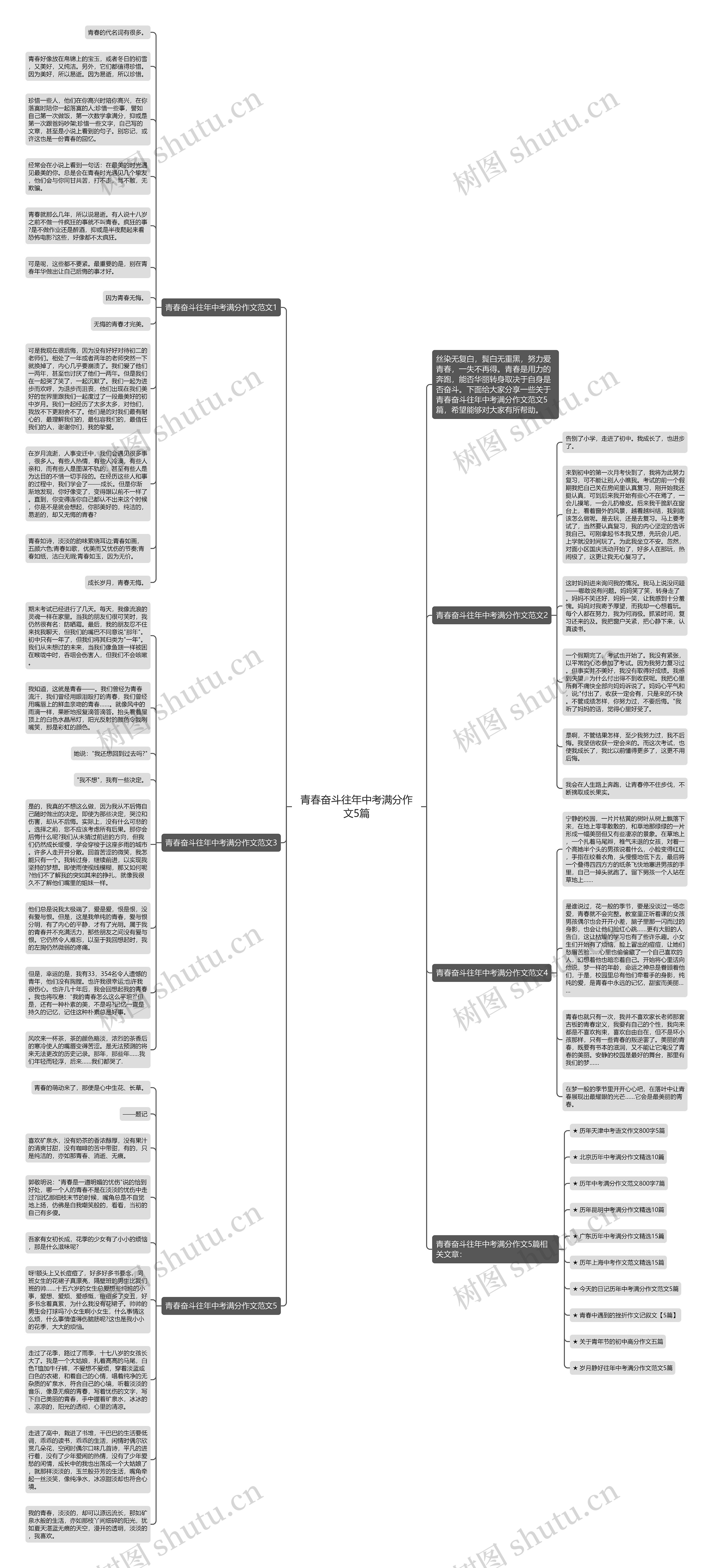 青春奋斗往年中考满分作文5篇