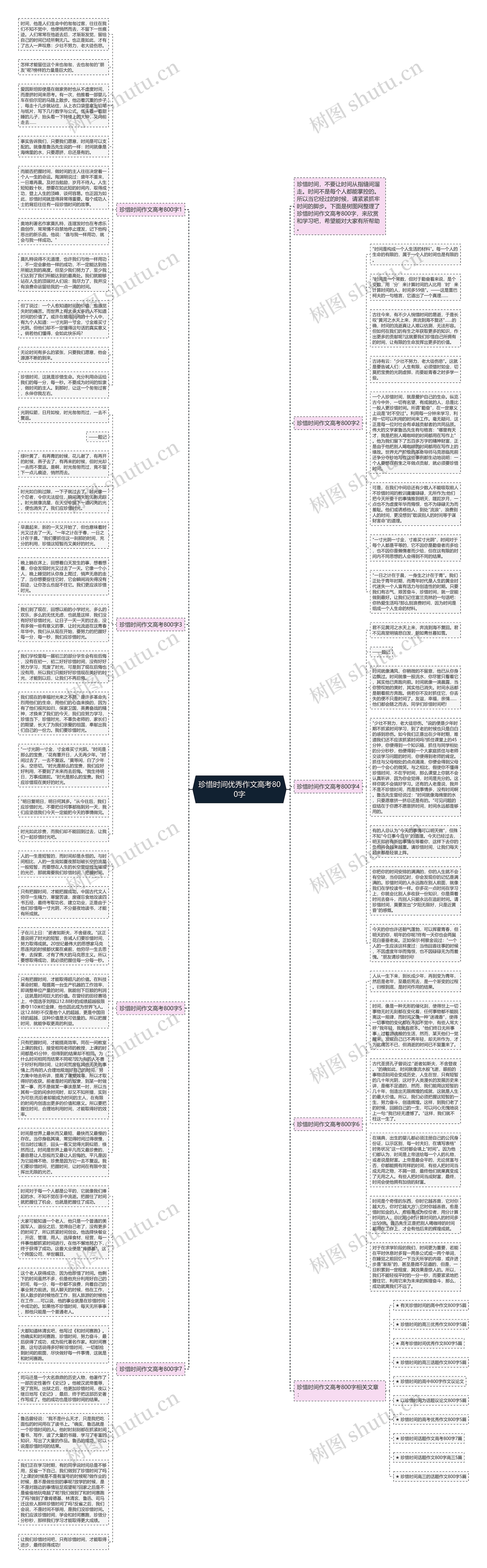 珍惜时间优秀作文高考800字思维导图