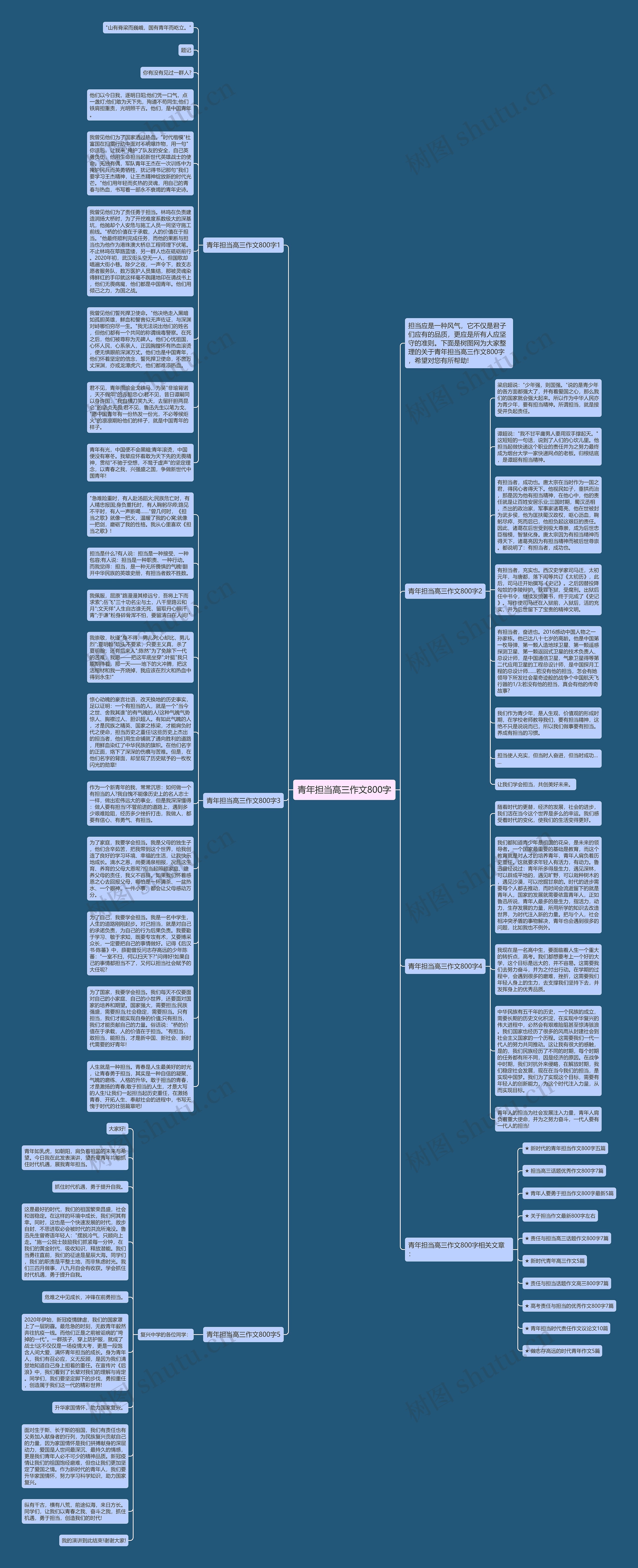 青年担当高三作文800字思维导图
