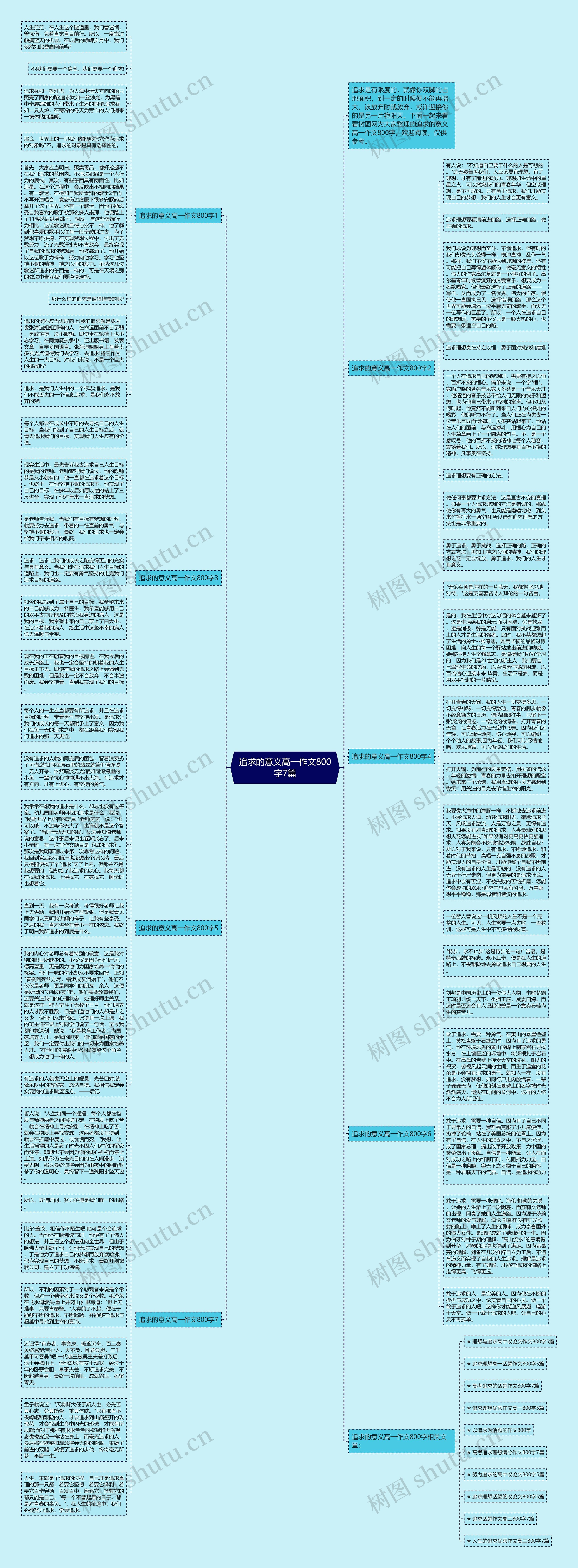 追求的意义高一作文800字7篇思维导图