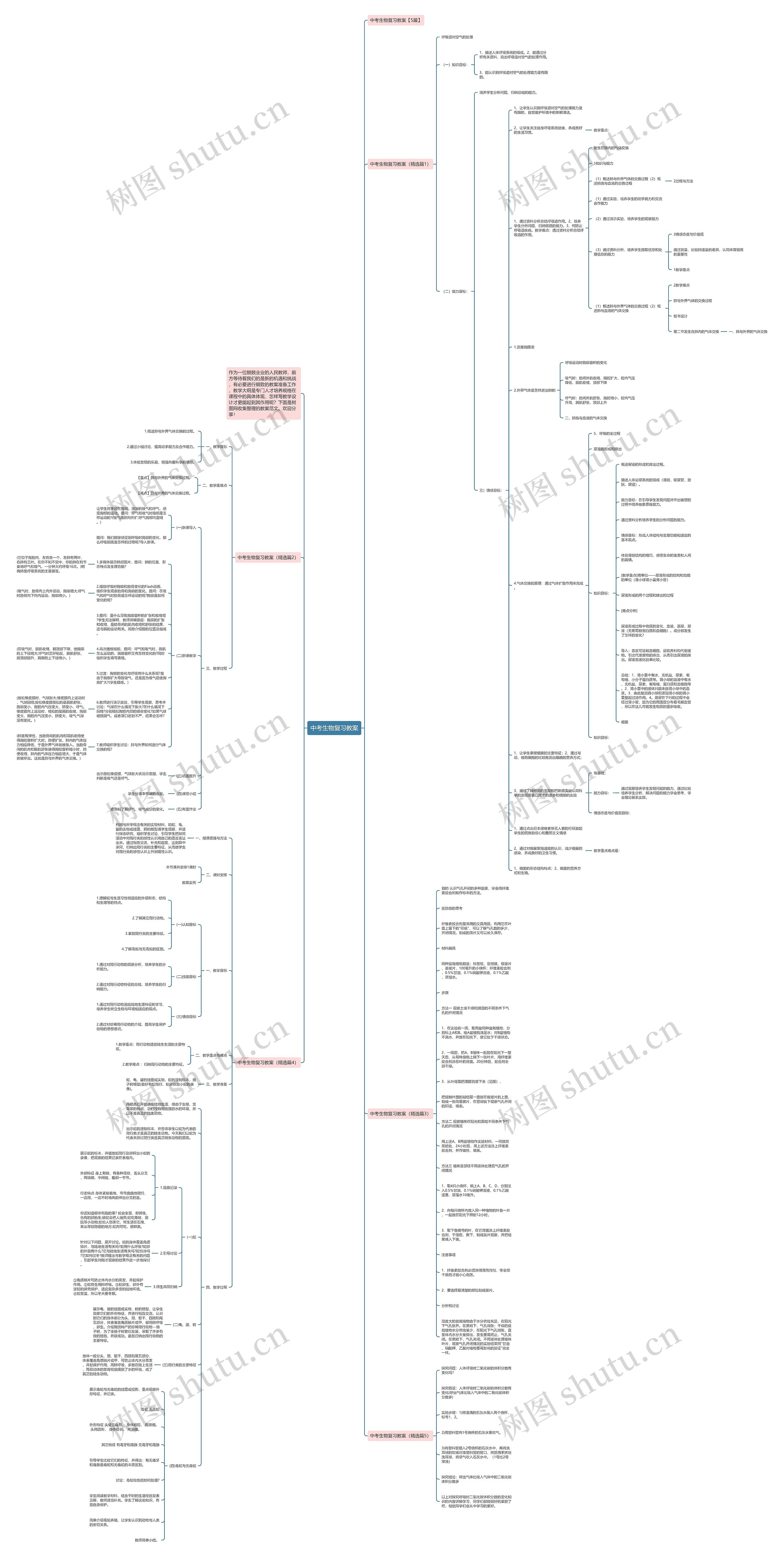 中考生物复习教案思维导图