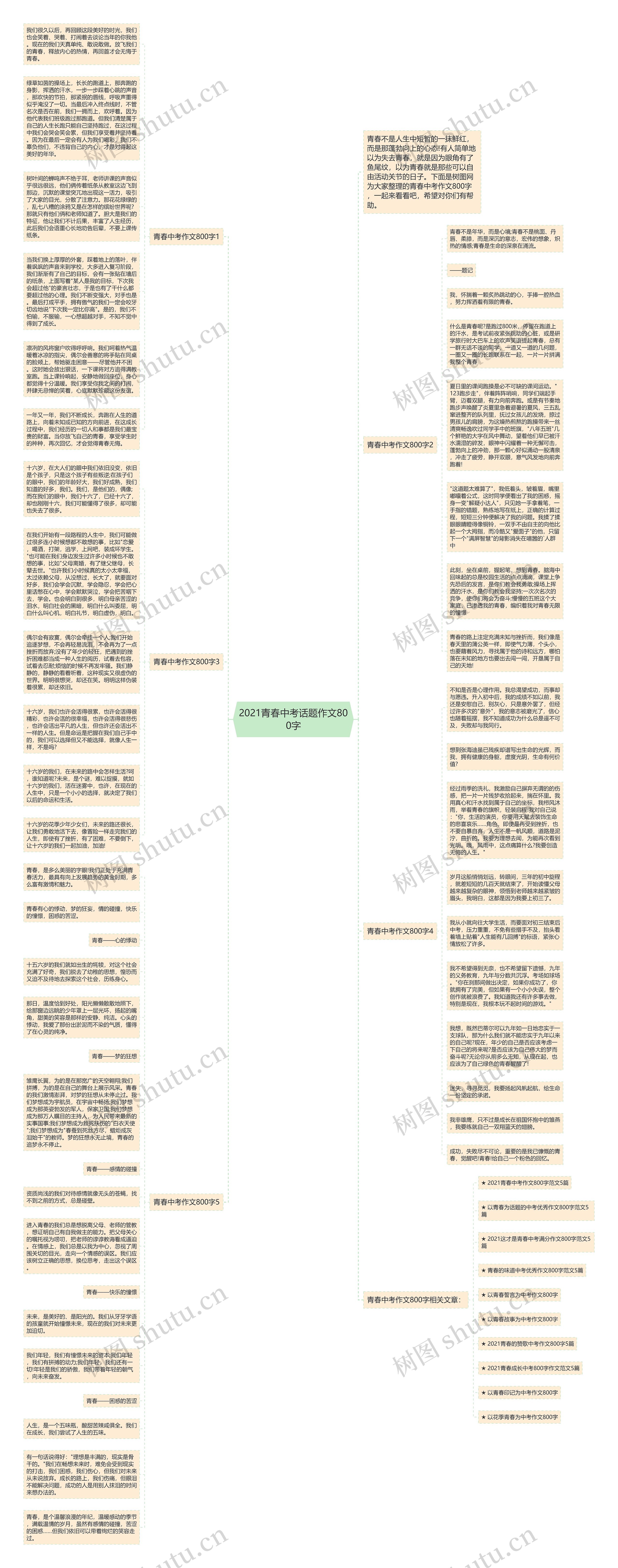 2021青春中考话题作文800字思维导图