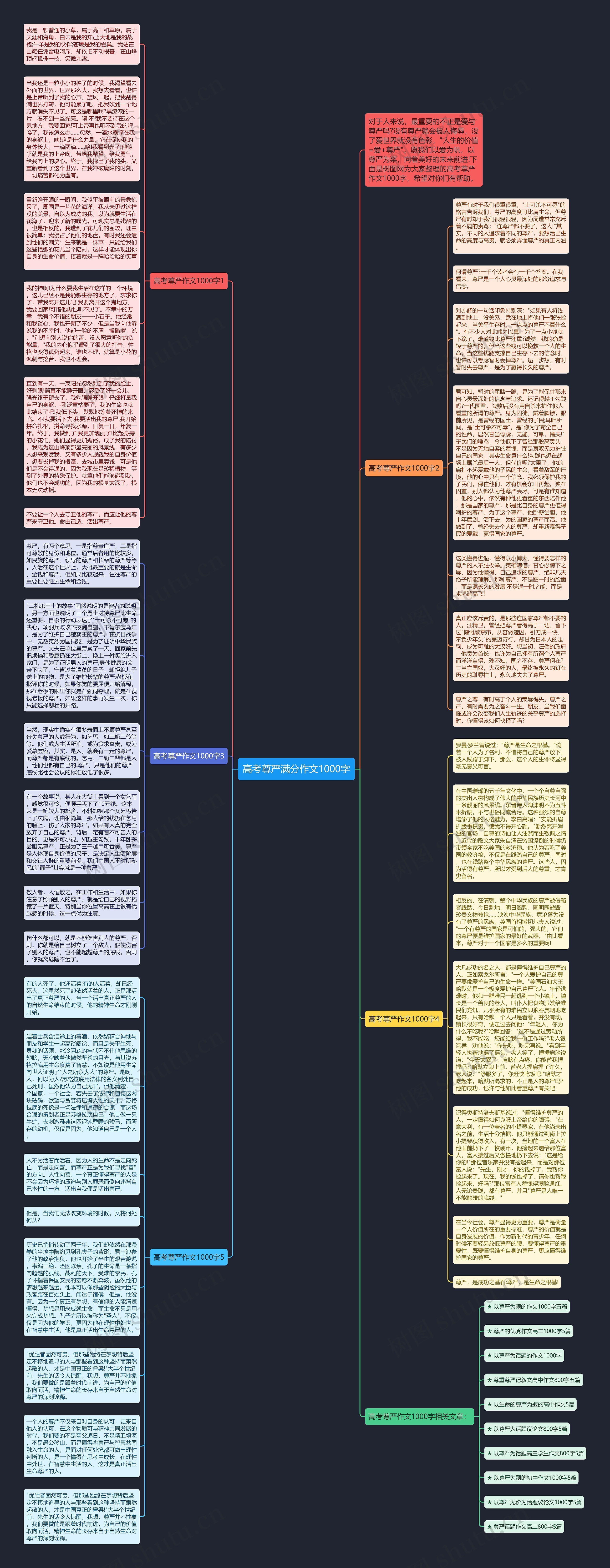 高考尊严满分作文1000字思维导图