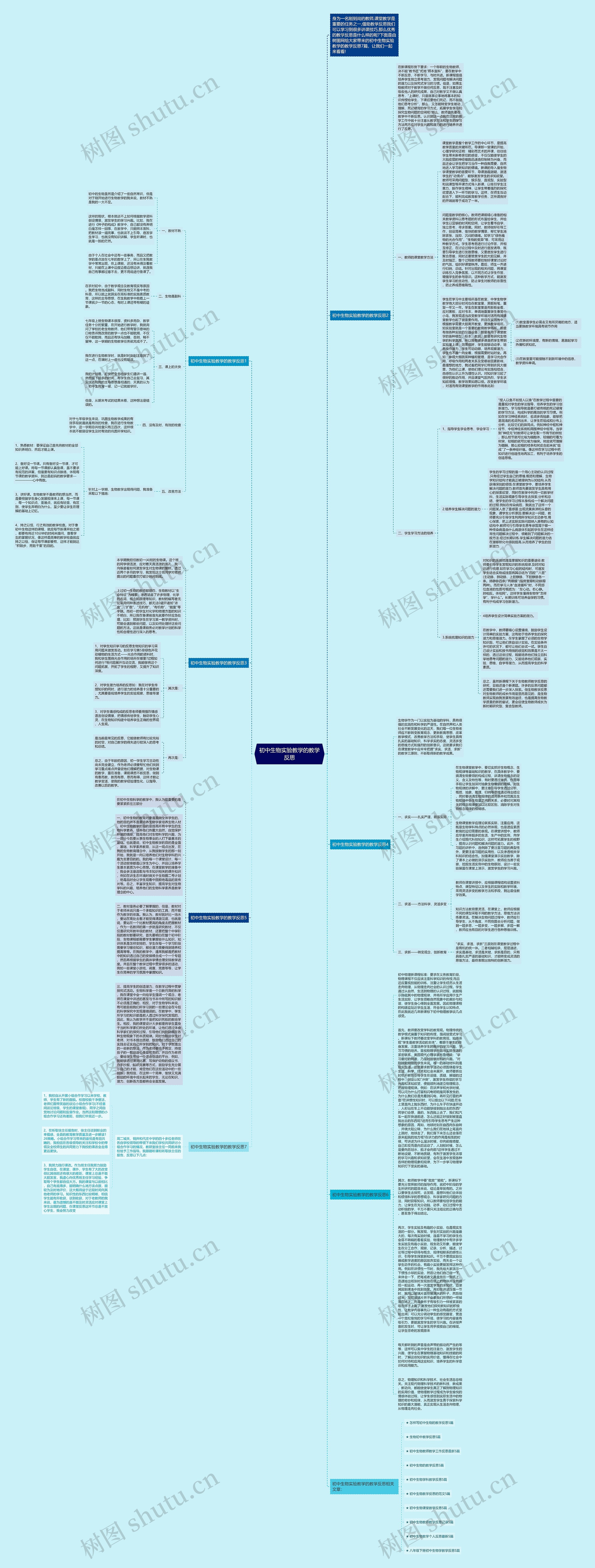 初中生物实验教学的教学反思思维导图