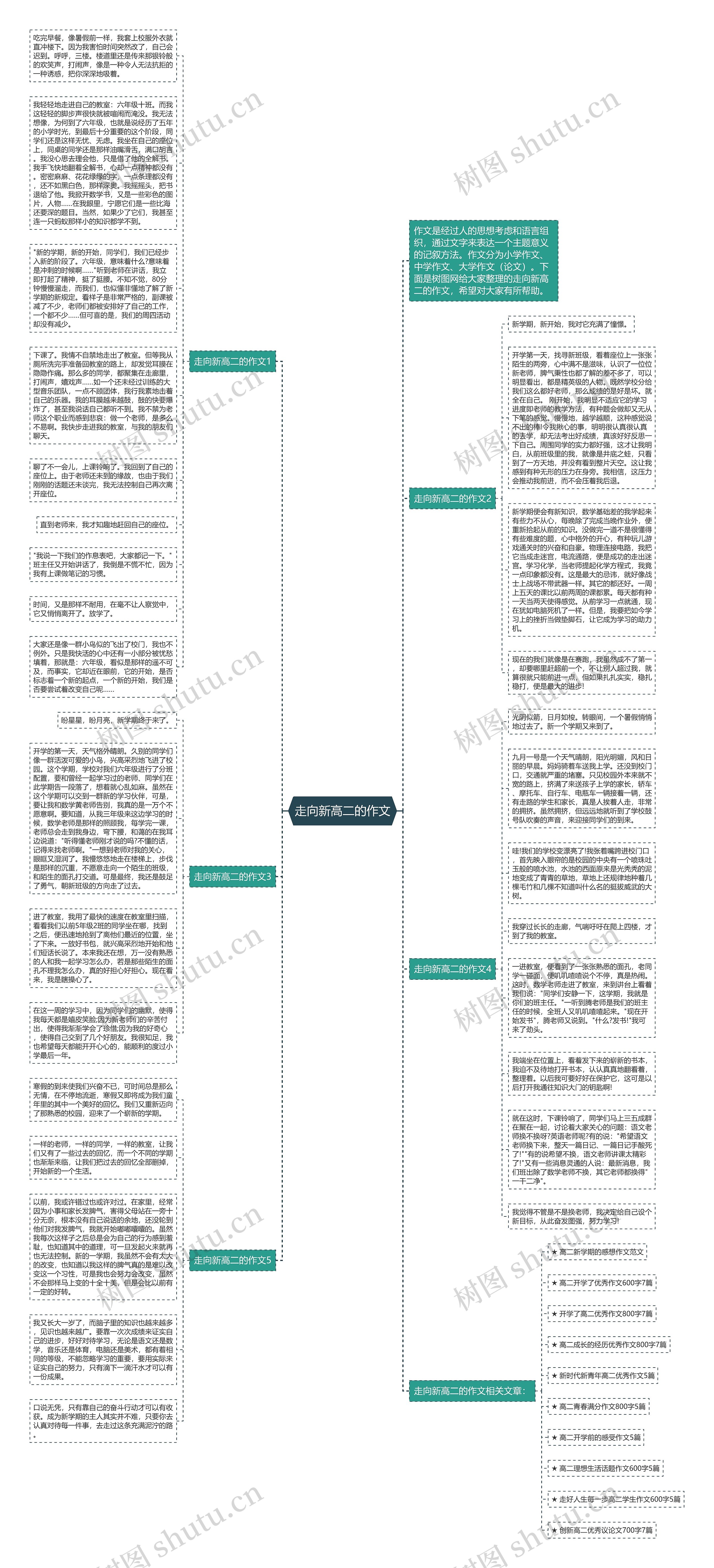 走向新高二的作文思维导图
