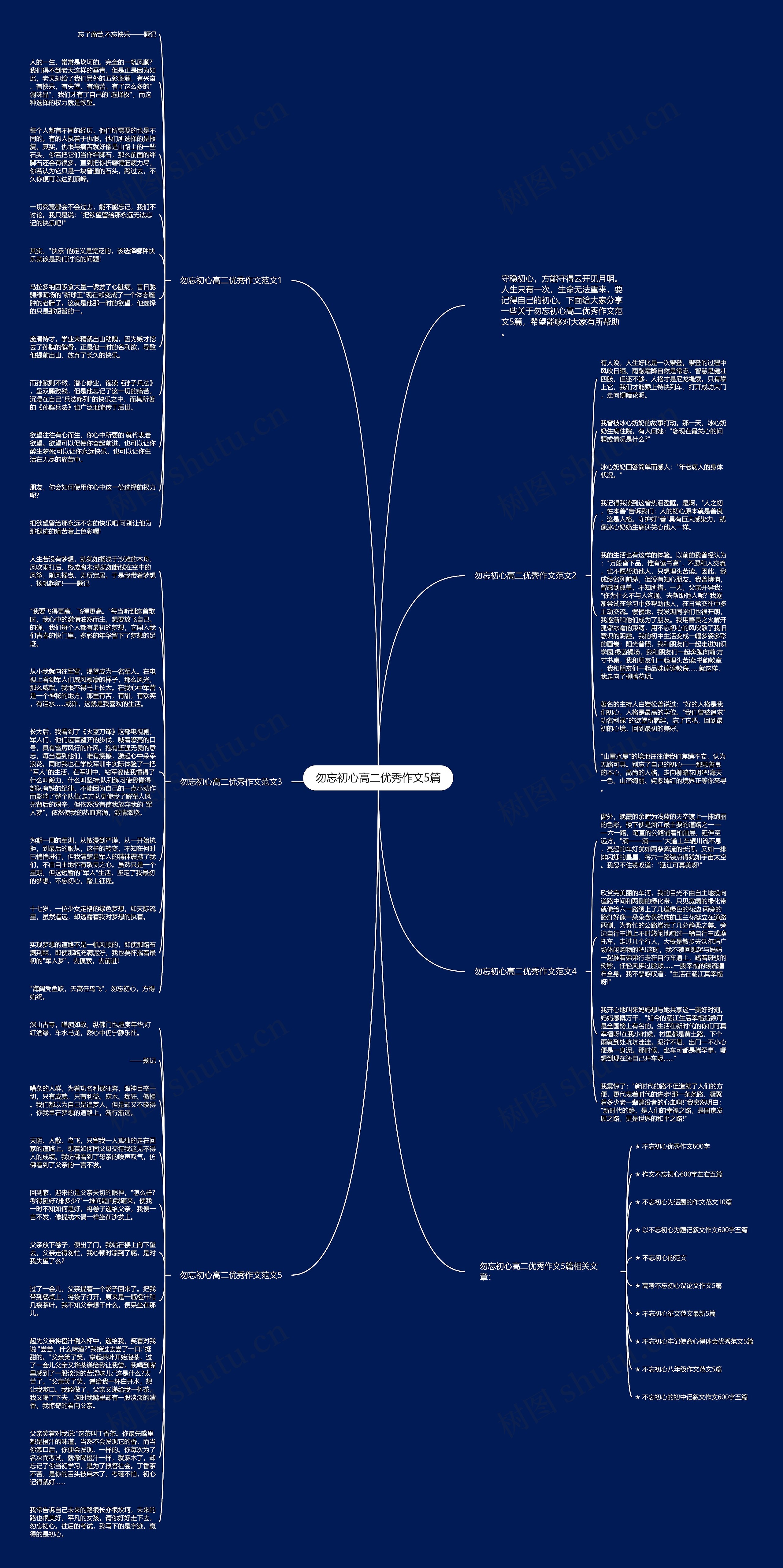 勿忘初心高二优秀作文5篇思维导图