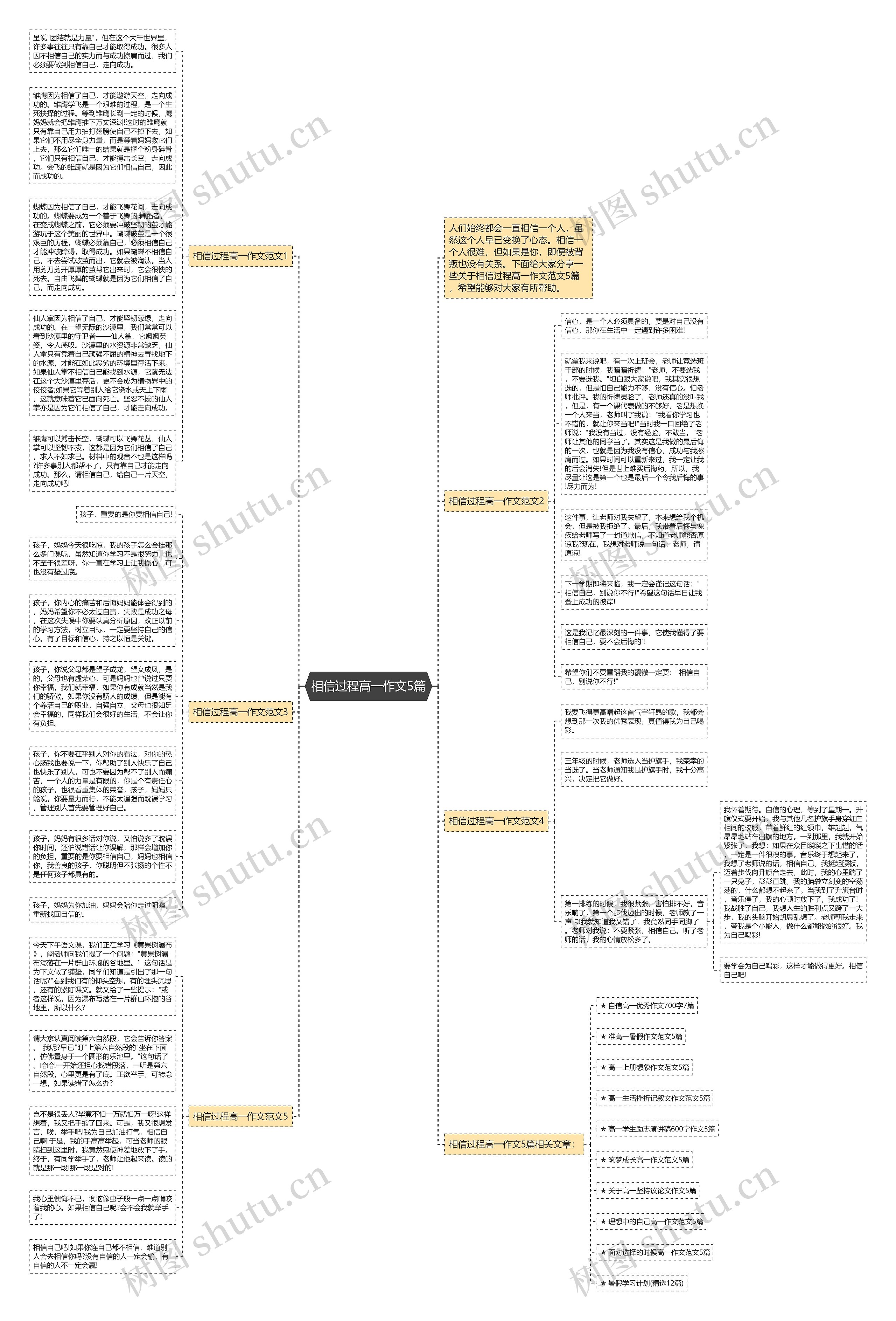 相信过程高一作文5篇思维导图