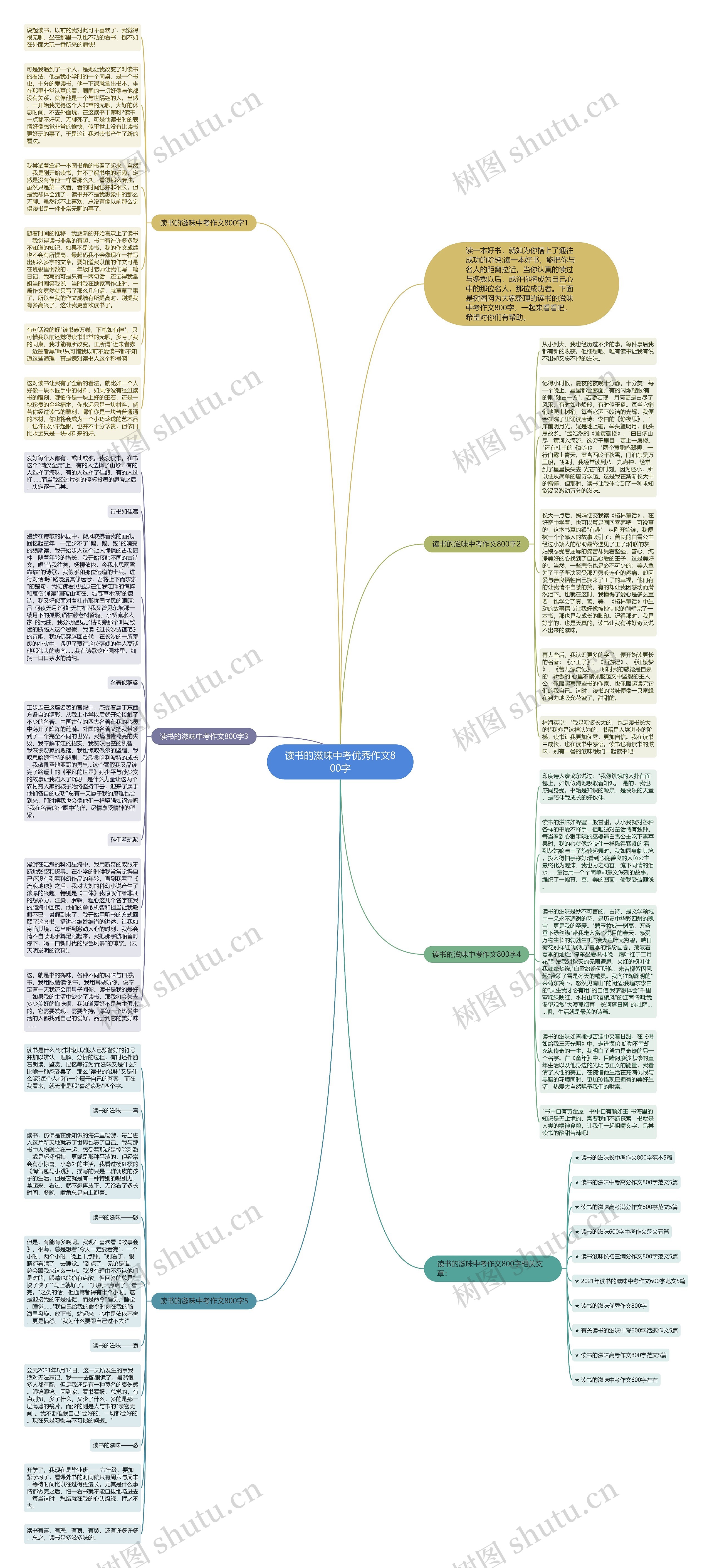读书的滋味中考优秀作文800字思维导图
